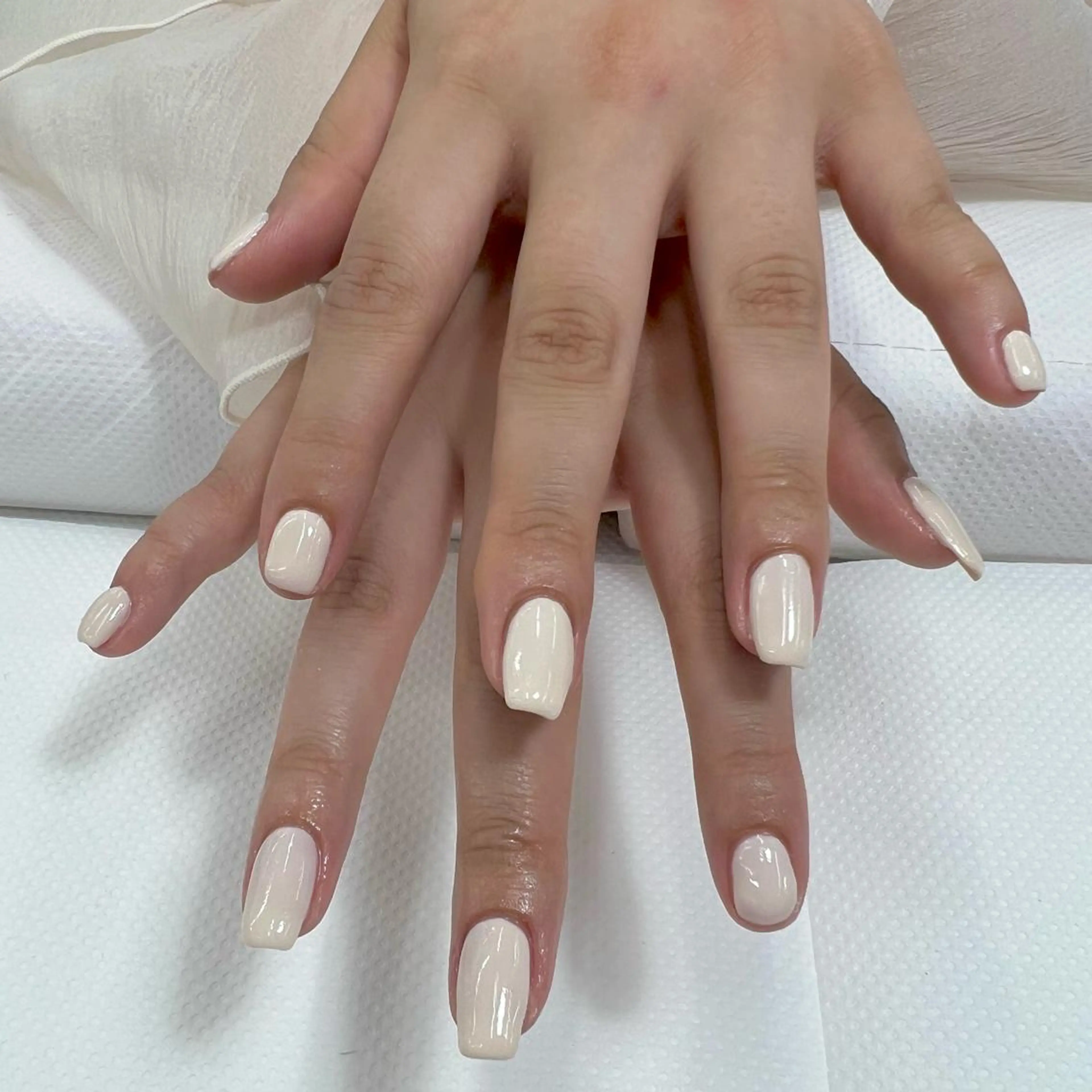 ネイル ワンカラーネイル 【MAXKELLY】 KOBIKI🐾のネイルデザイン