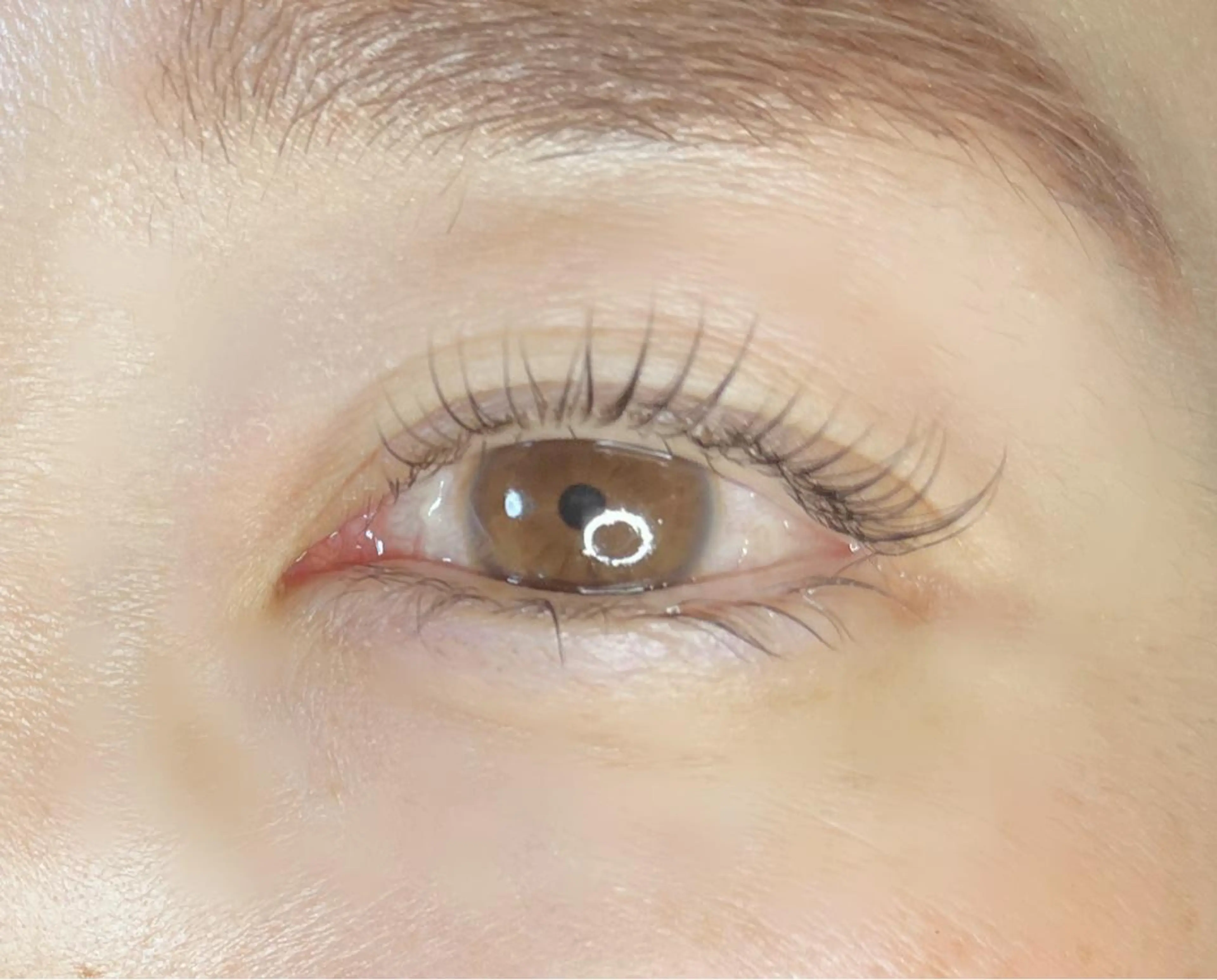 マツエク・マツパ マツパ 《eyelash ｉｉｔｅ》森のマツエク・マツパデザイン