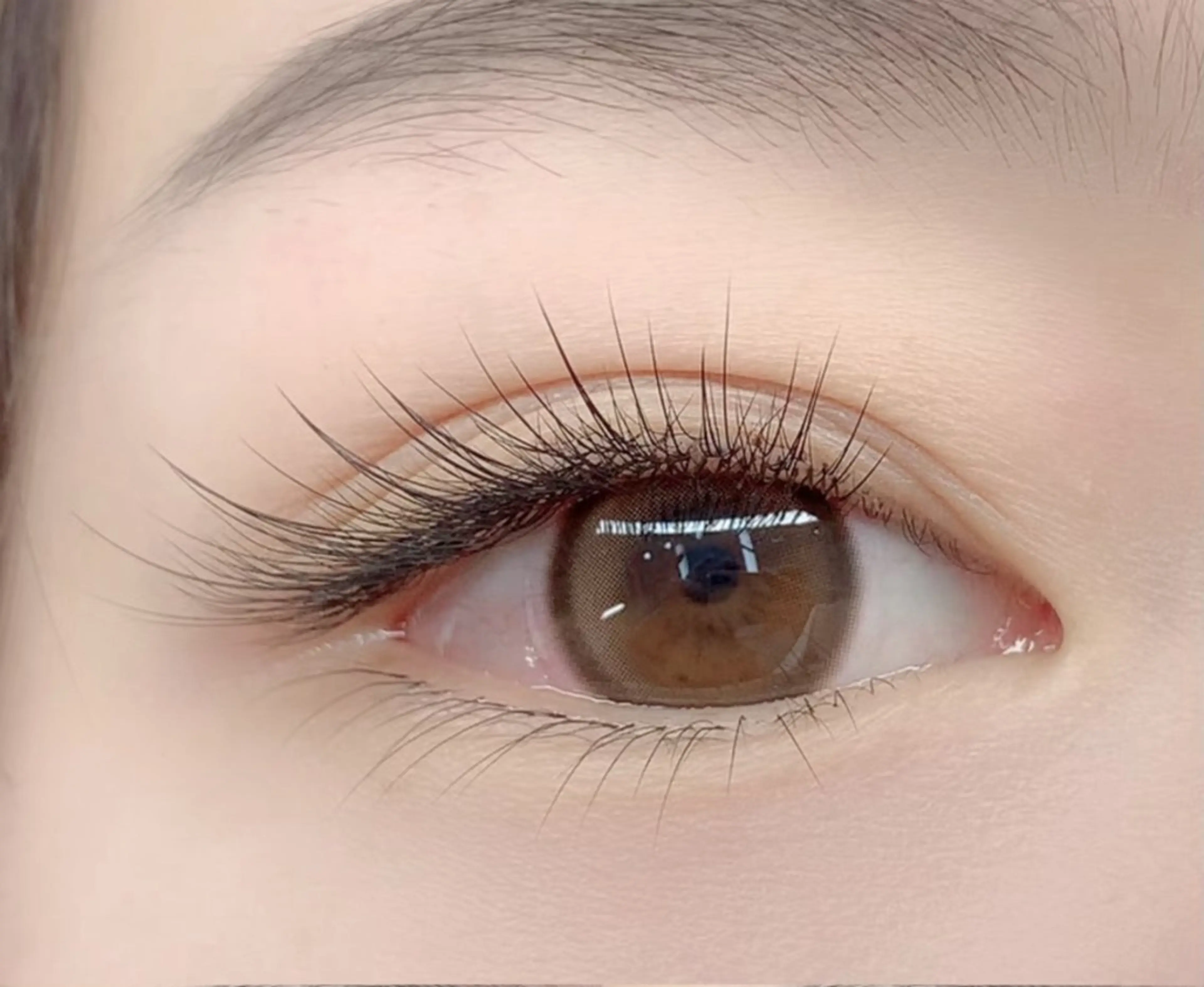 フラットラッシュ60本の写真