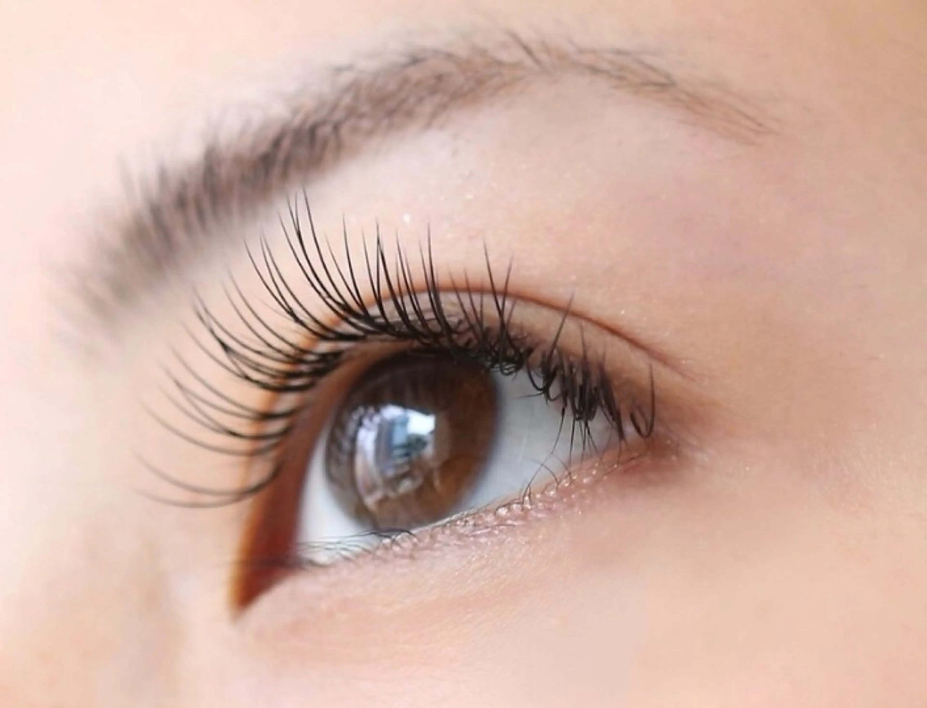 フラットラッシュ100本〜140本 ※ノークレーム、ノーキャンセルで予約して下さい⚠️予約可能な日時が限られていますの写真