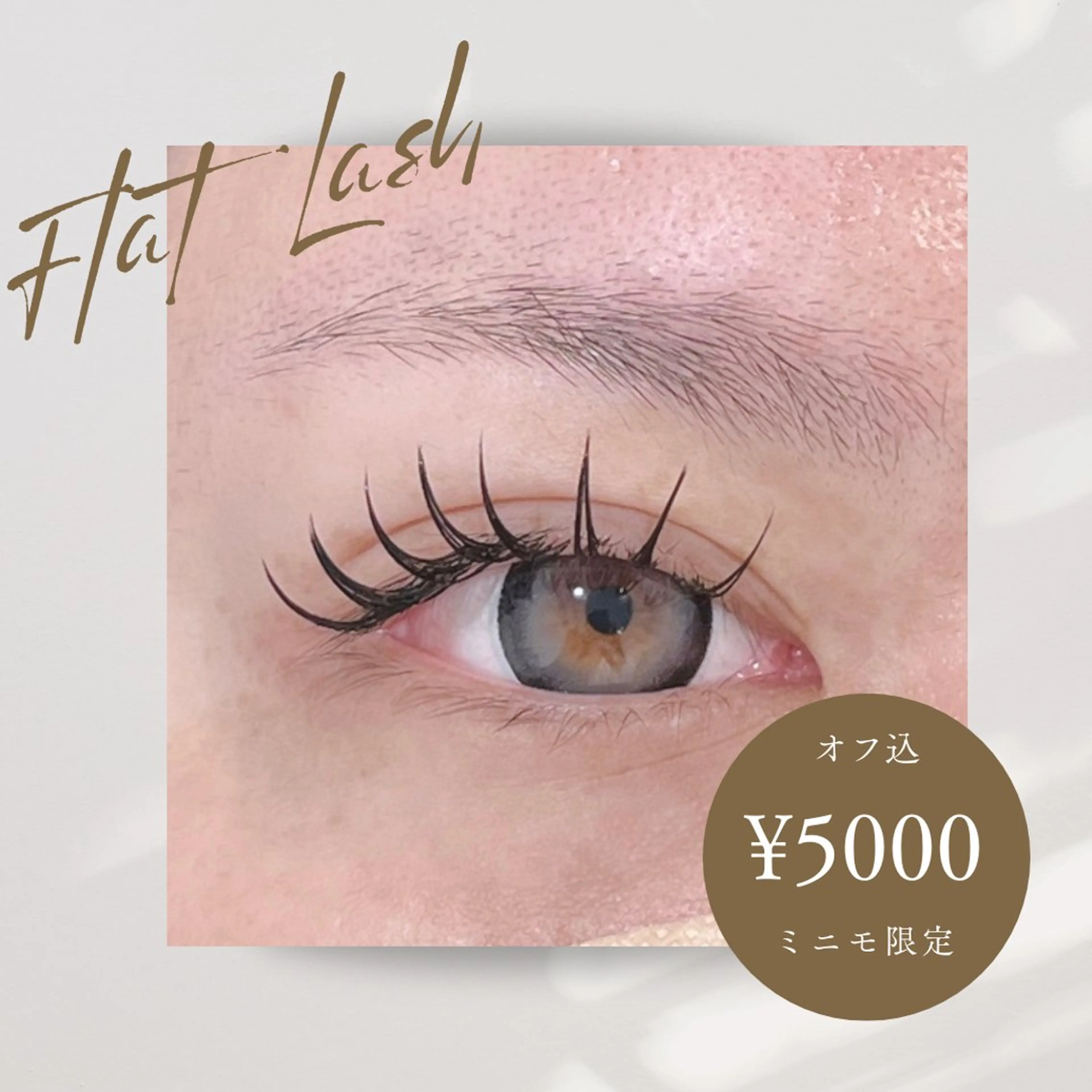 🌼フラットラッシュ100本🌼の写真