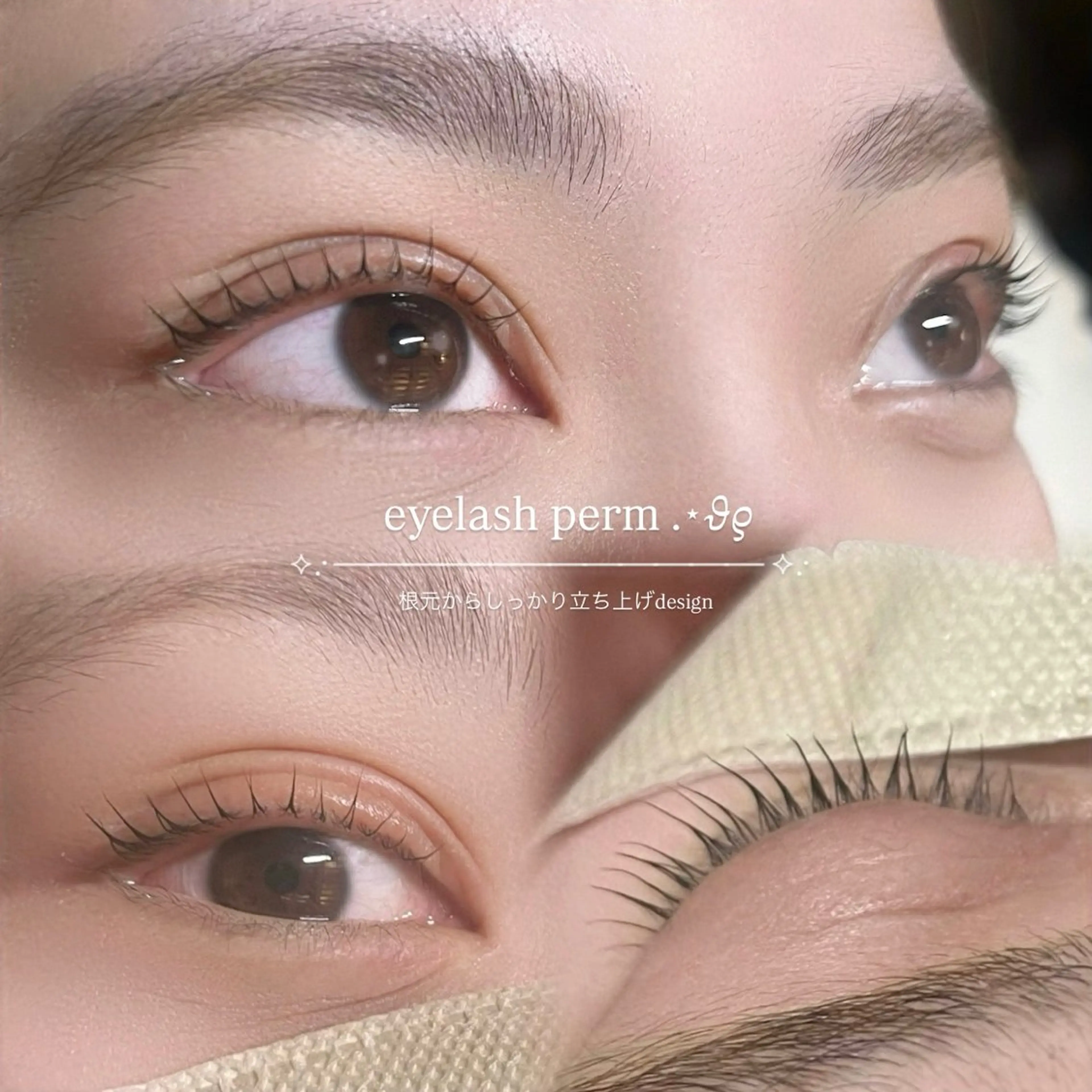 ãããšã¯ã»ããã mayu ïžâ€ïžã®ãããšã¯ã»ããããã¶ã€ã³