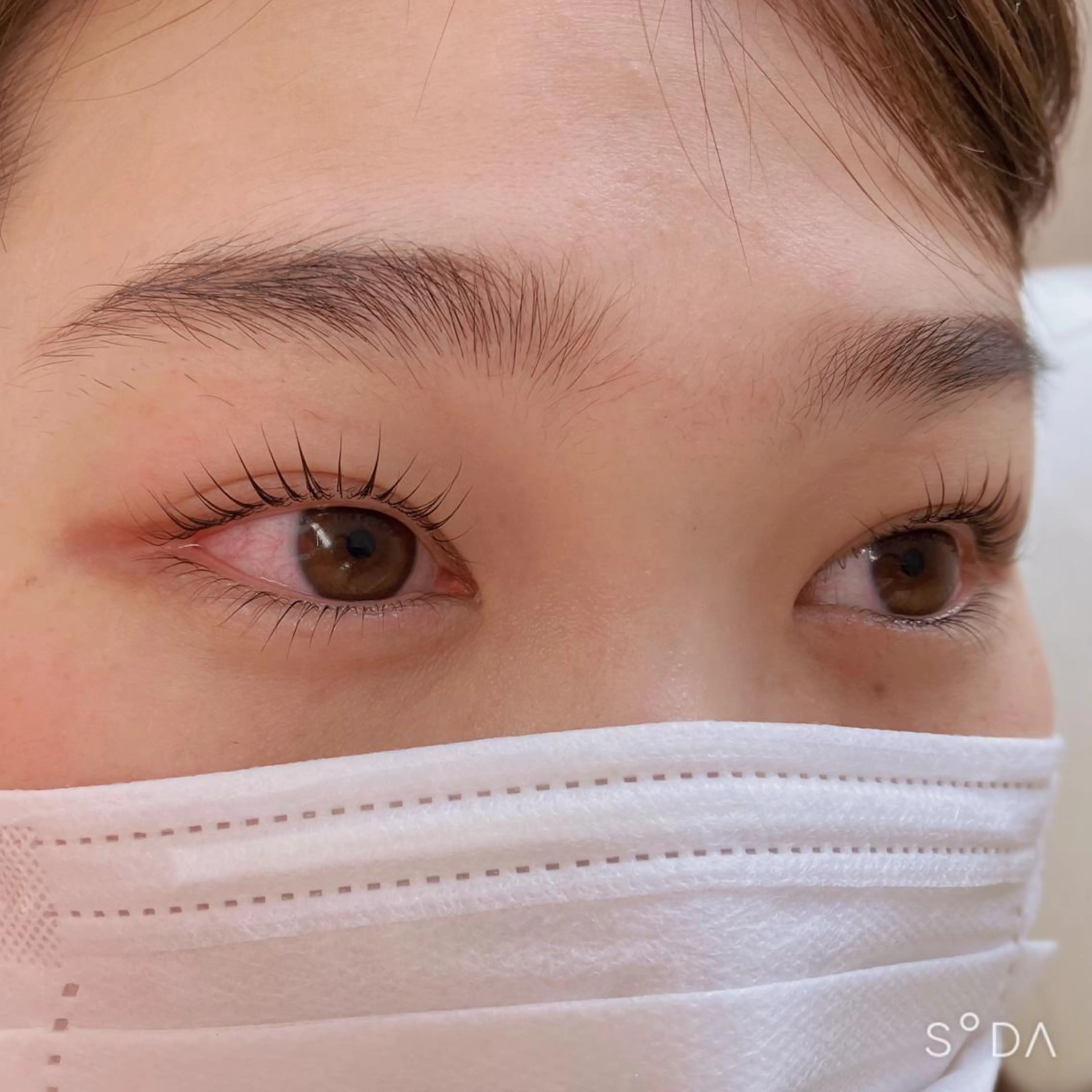 マツエク・マツパ 韓国風マツエク フジ ワラの眉毛・アイブロウイメージ