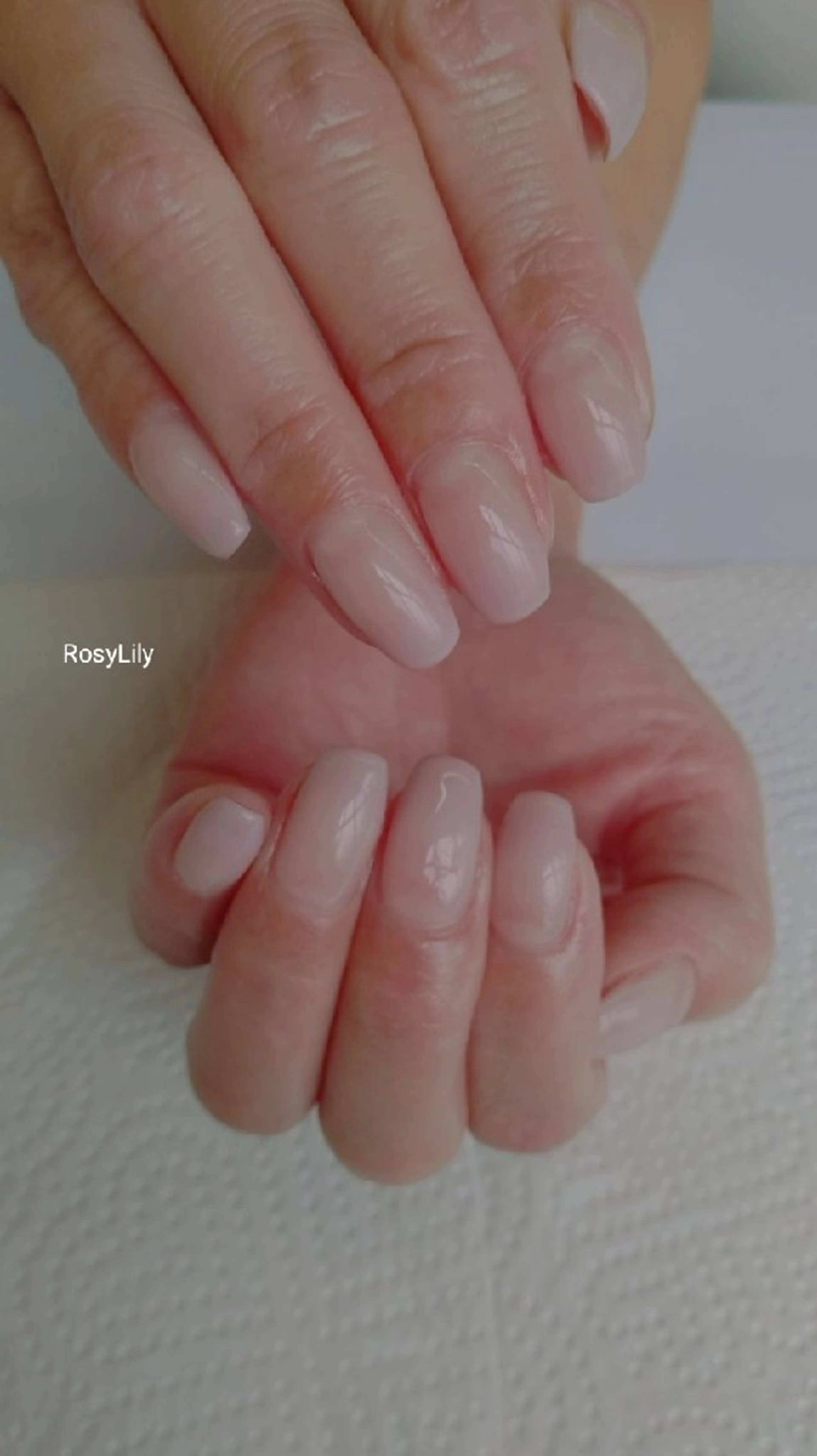 ネイル グラデーション オフィスネイル ハンドネイル ハンドケア プライベートサロン RosyLily所属・プライベートサロン Rosy Lilyのネイルデザイン