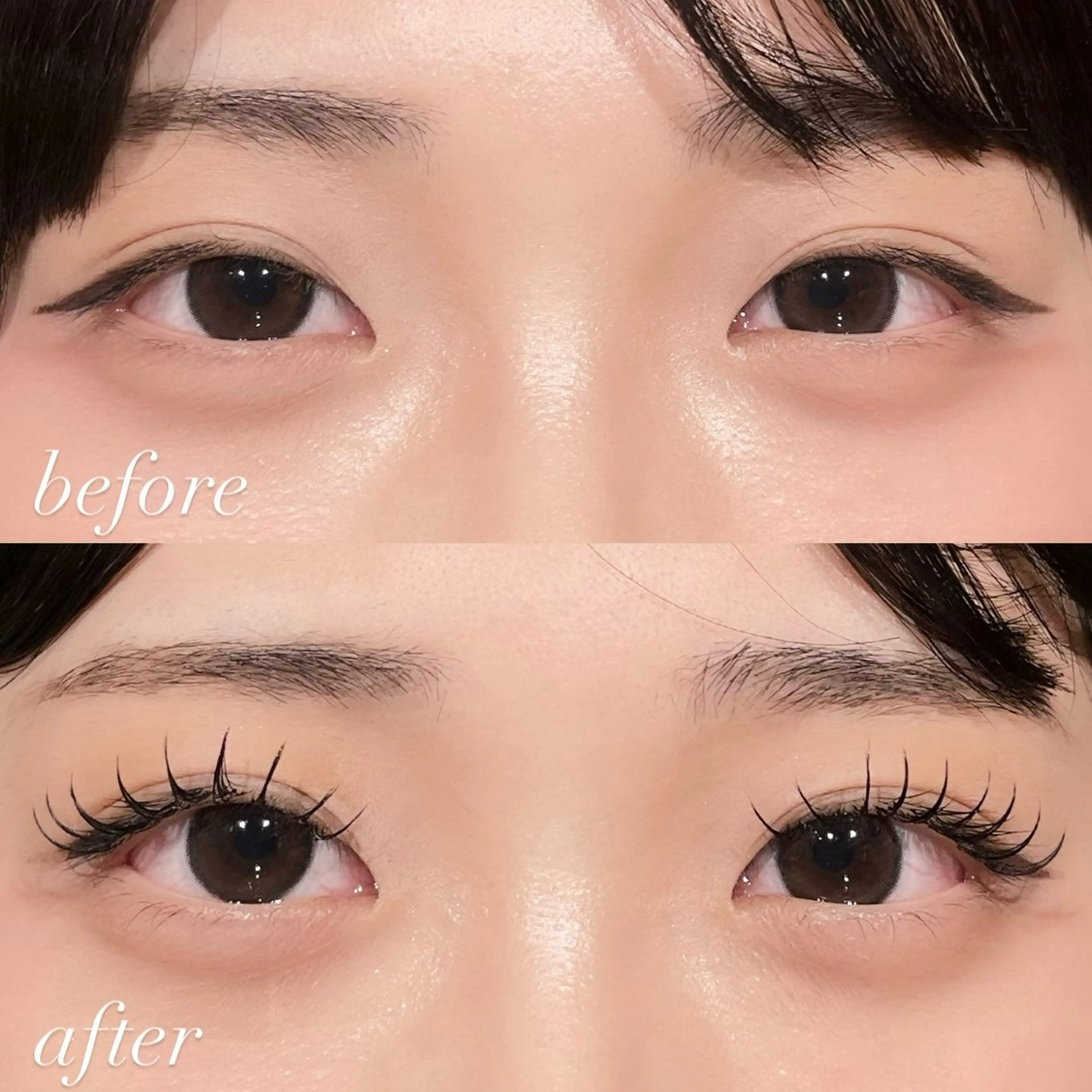 🍒🤍シングルフラットラッシュ🤍🍒【60本保証】の写真