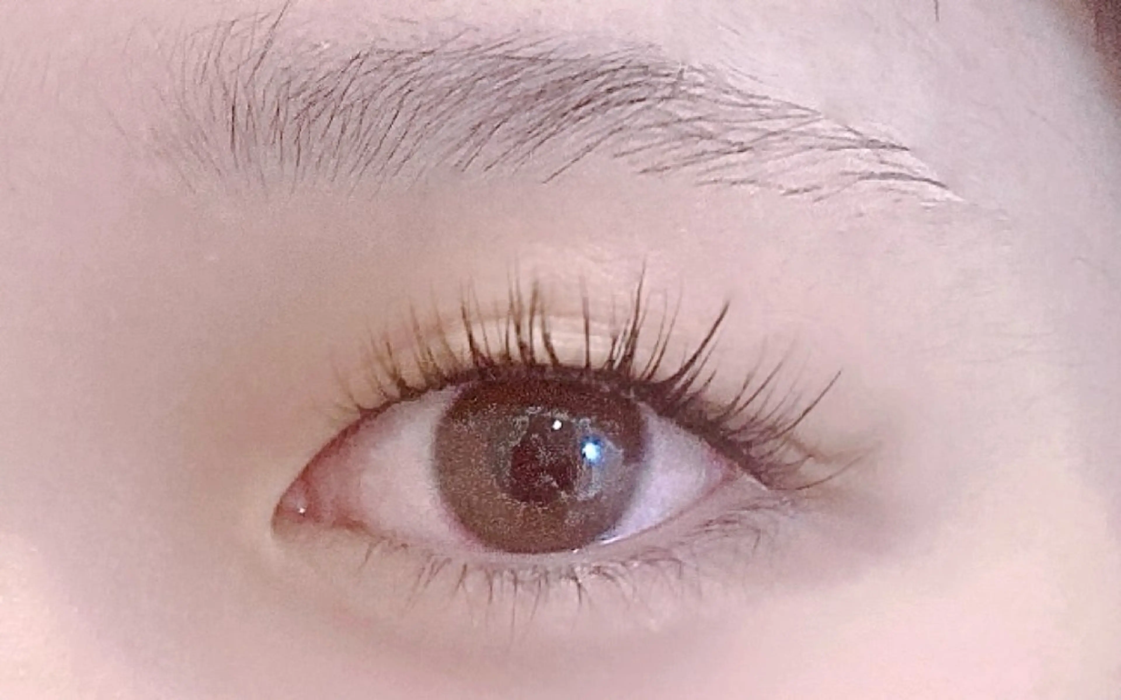 当店ご新規様限定♩華やか印象♩まつ毛パーマ×エクステ30本(各15本)でナチュラルに盛れる瞳に★の写真