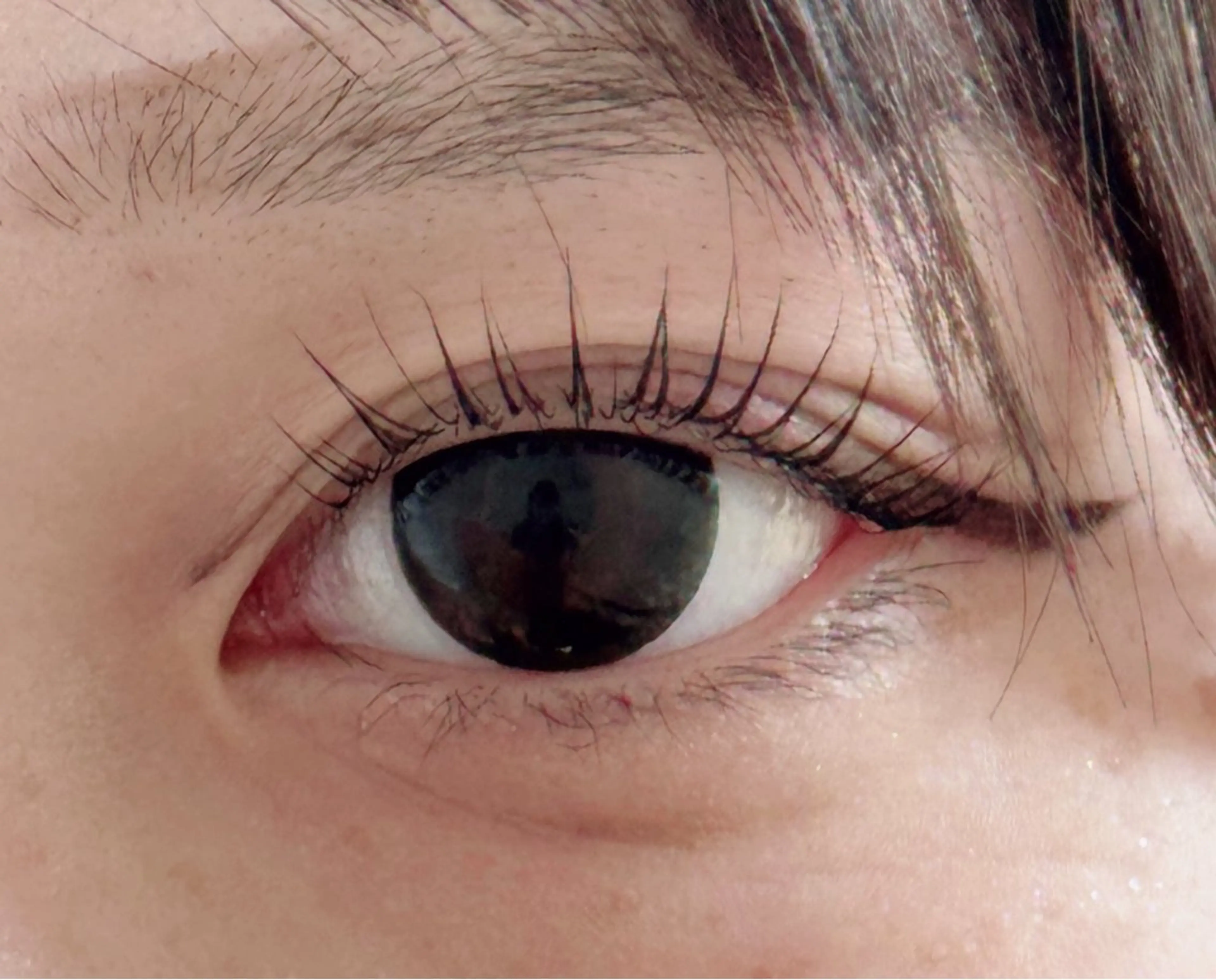 【新規】パリジェンヌ+持ちコーティング◎の写真