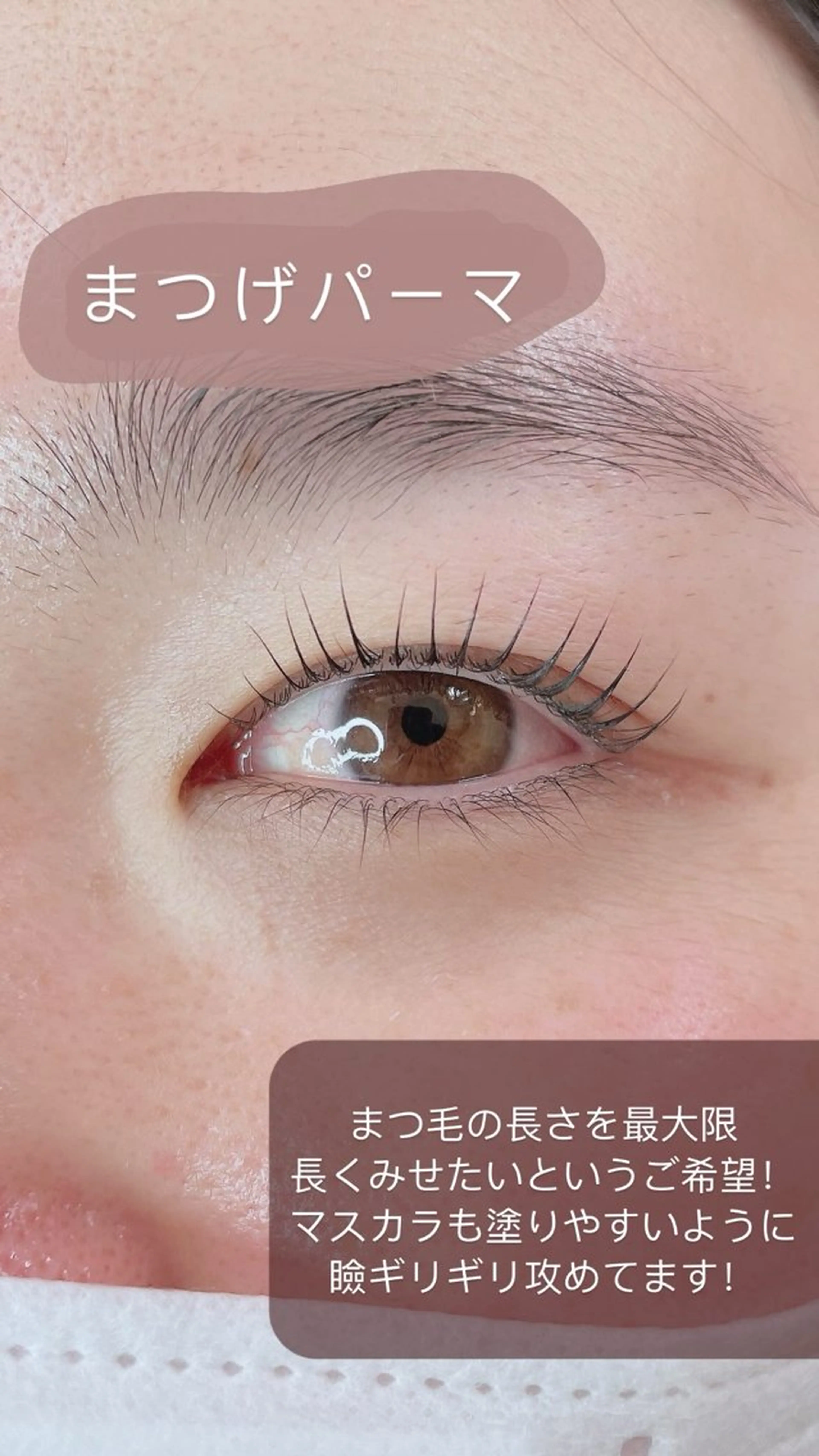 マツエク・マツパ マツパ プル eyelashのマツエク・マツパデザイン