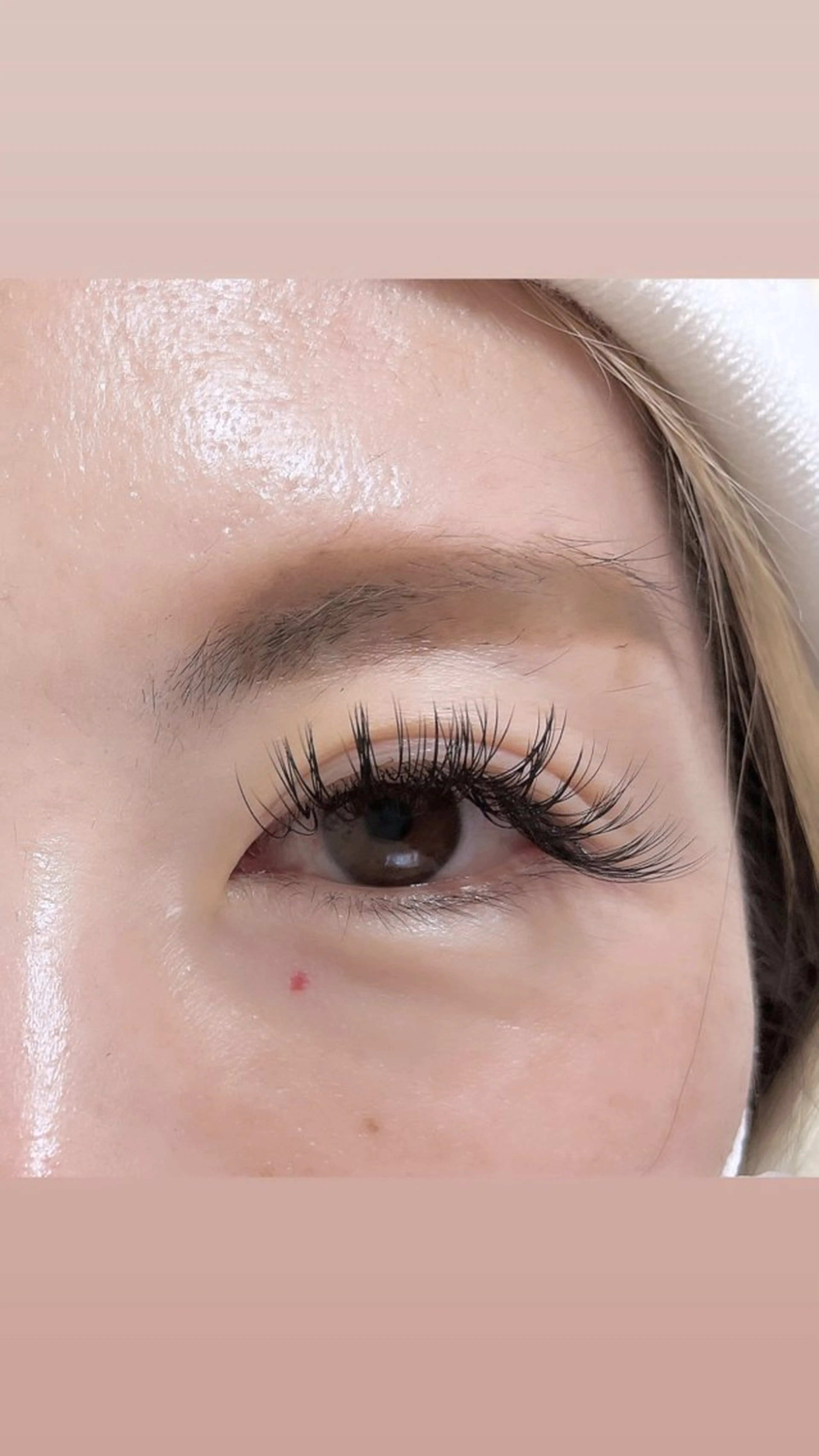 マツエク・マツパ マツエク salonmeili ＊ミキのマツエク・マツパデザイン