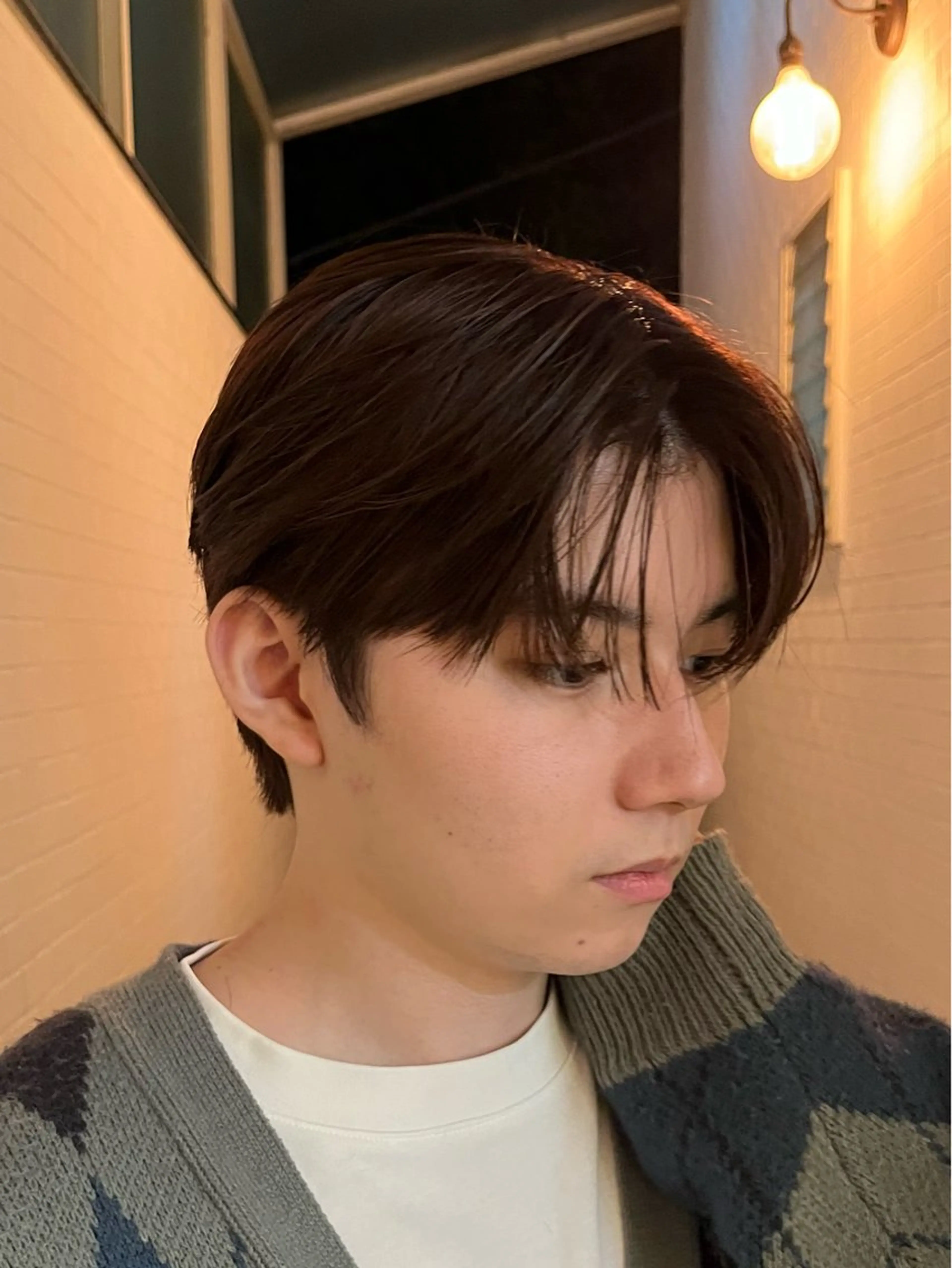 カラー ブリーチなし/透明感 /ショート/大世のヘアスタイル