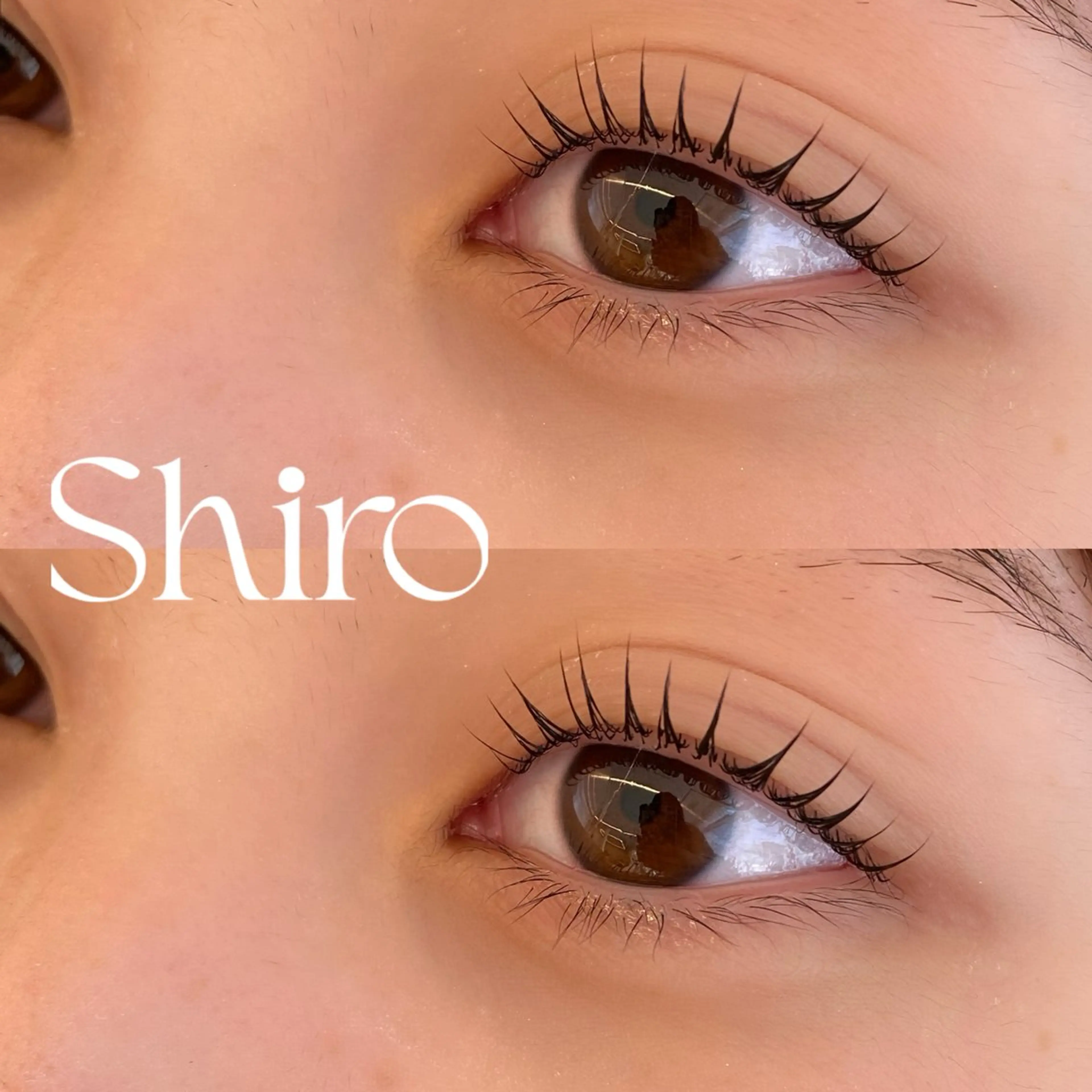 マツエク・マツパ まつげ･眉毛専門Shiro佐鳴台所属・佐藤 唯名のマツエク・マツパデザイン