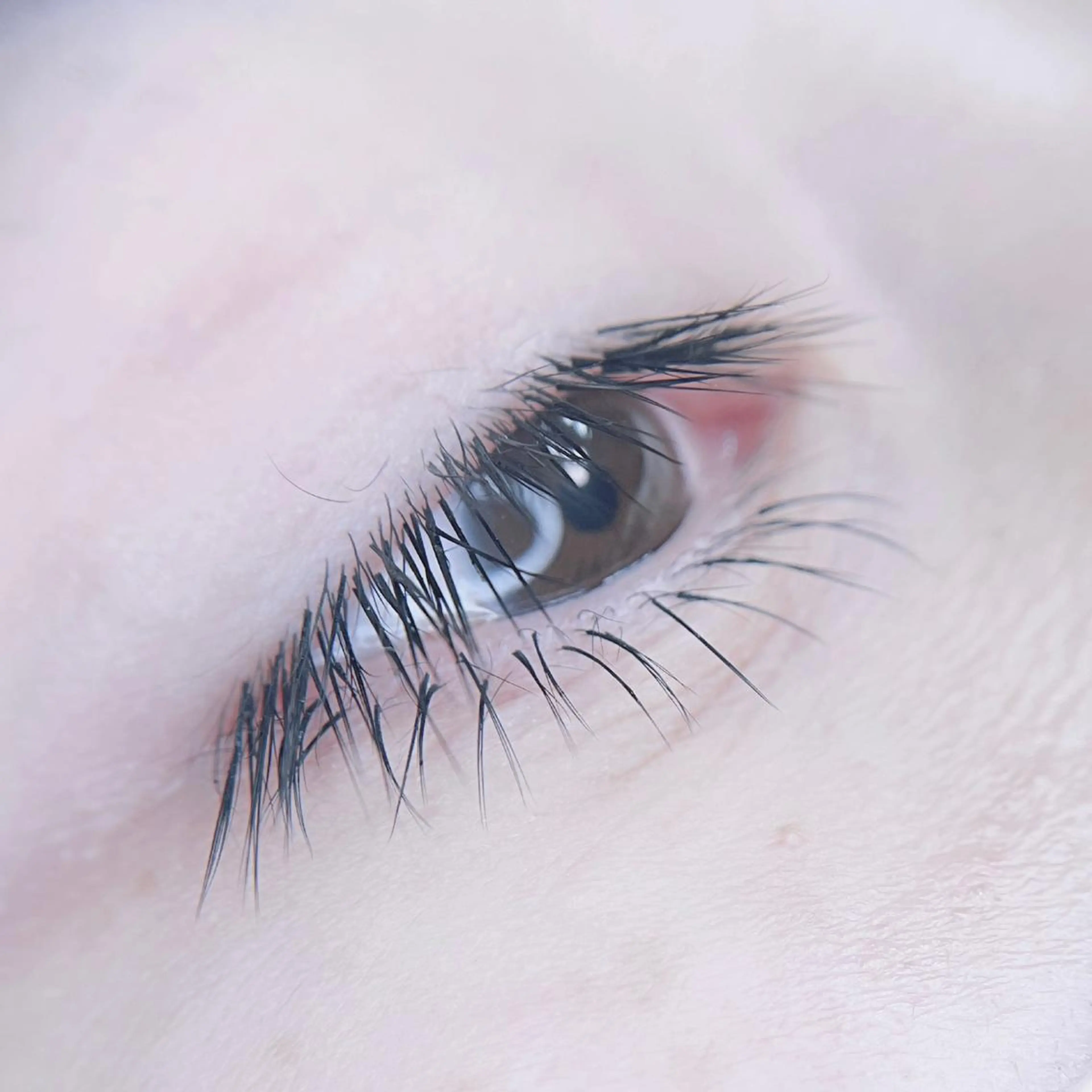 マツエク・マツパ マツエク foisalon 大久保店のマツエク・マツパデザイン