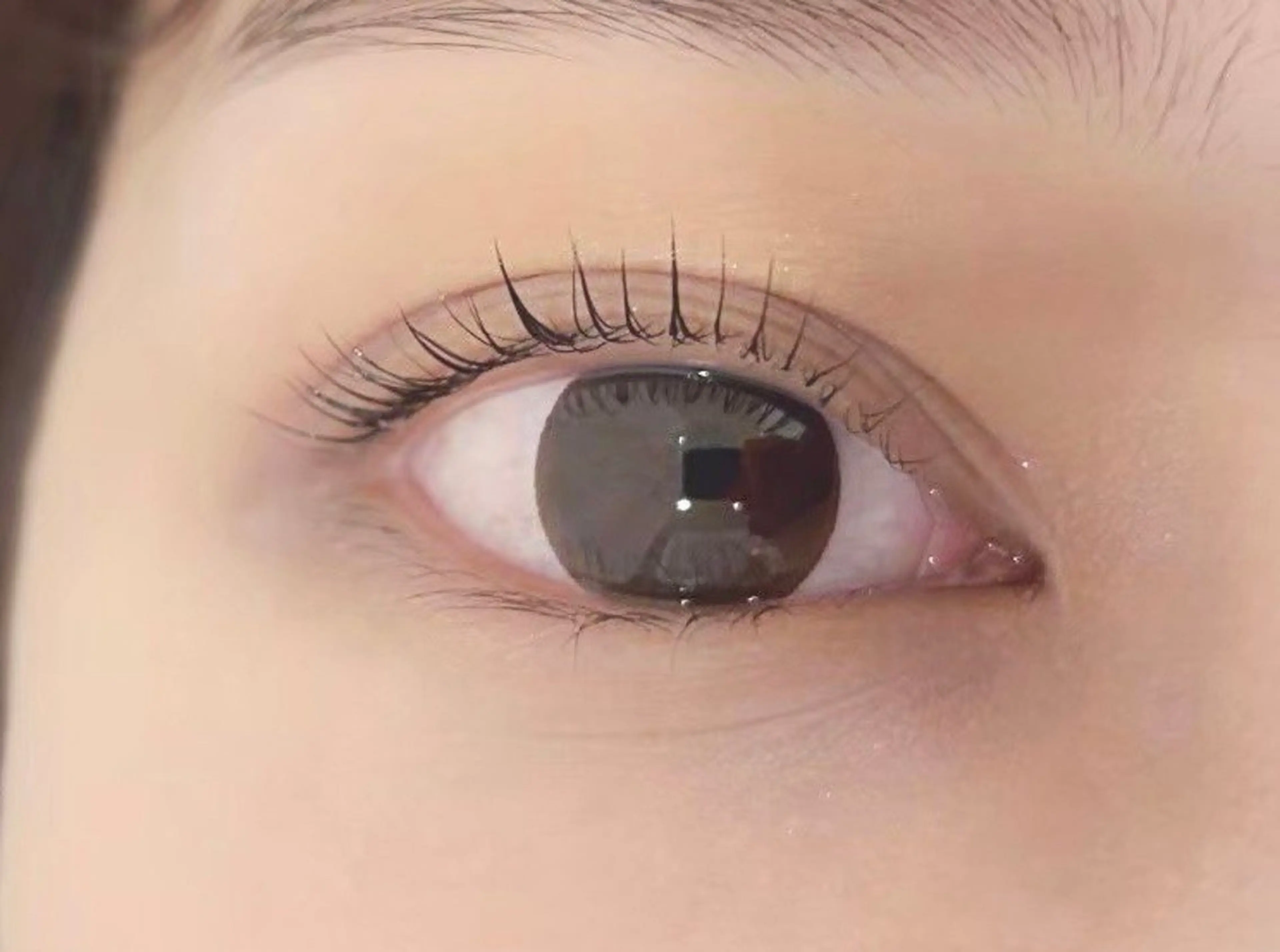 マツエク・マツパ マツパ Honey&Miel 🐣🤍AiRiのマツエク・マツパデザイン