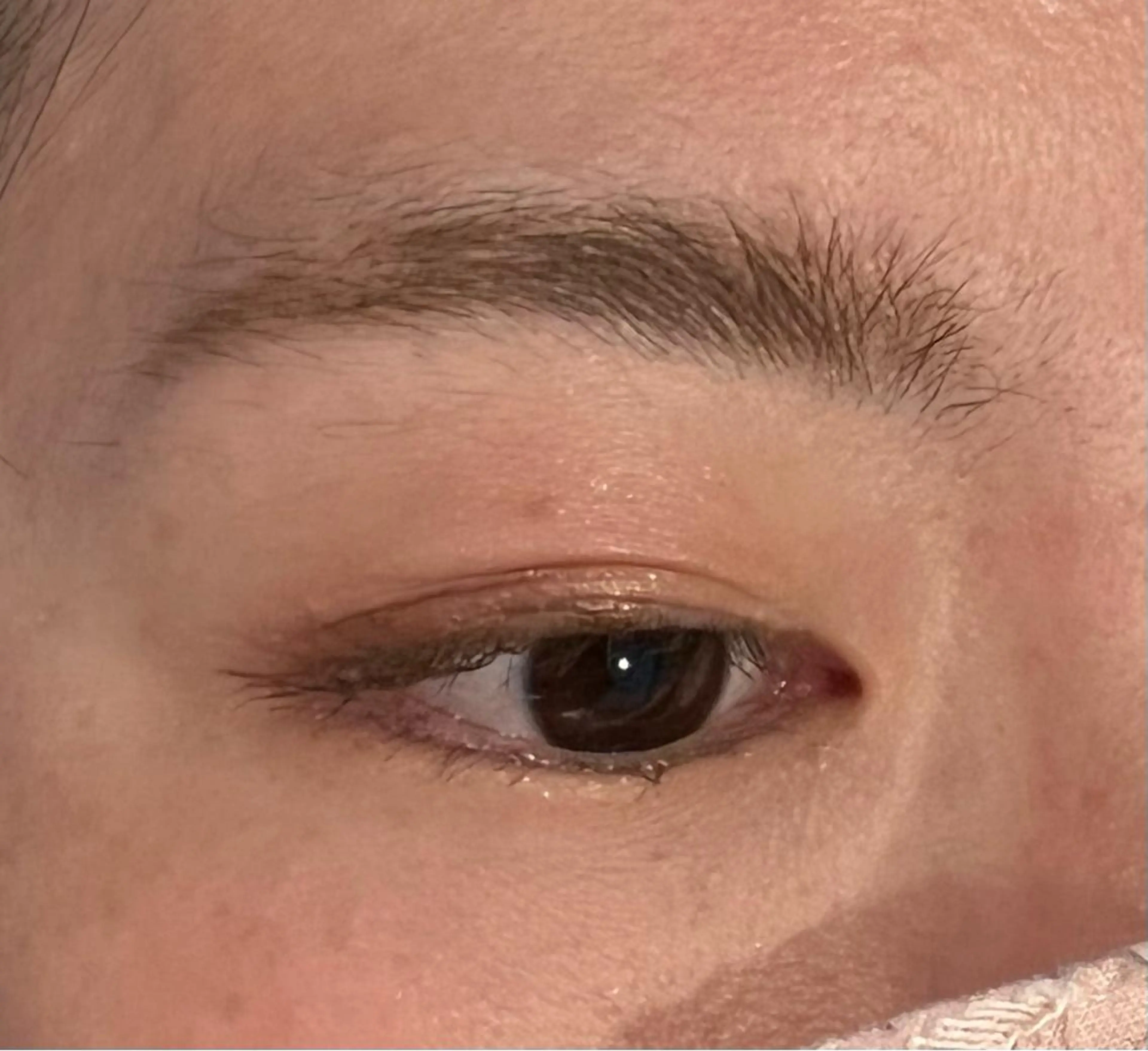 アイブロウ ワックス脱毛 眉カット その他(アイブロウ) DEST所属・吉野 瑳桜のヘアスタイル