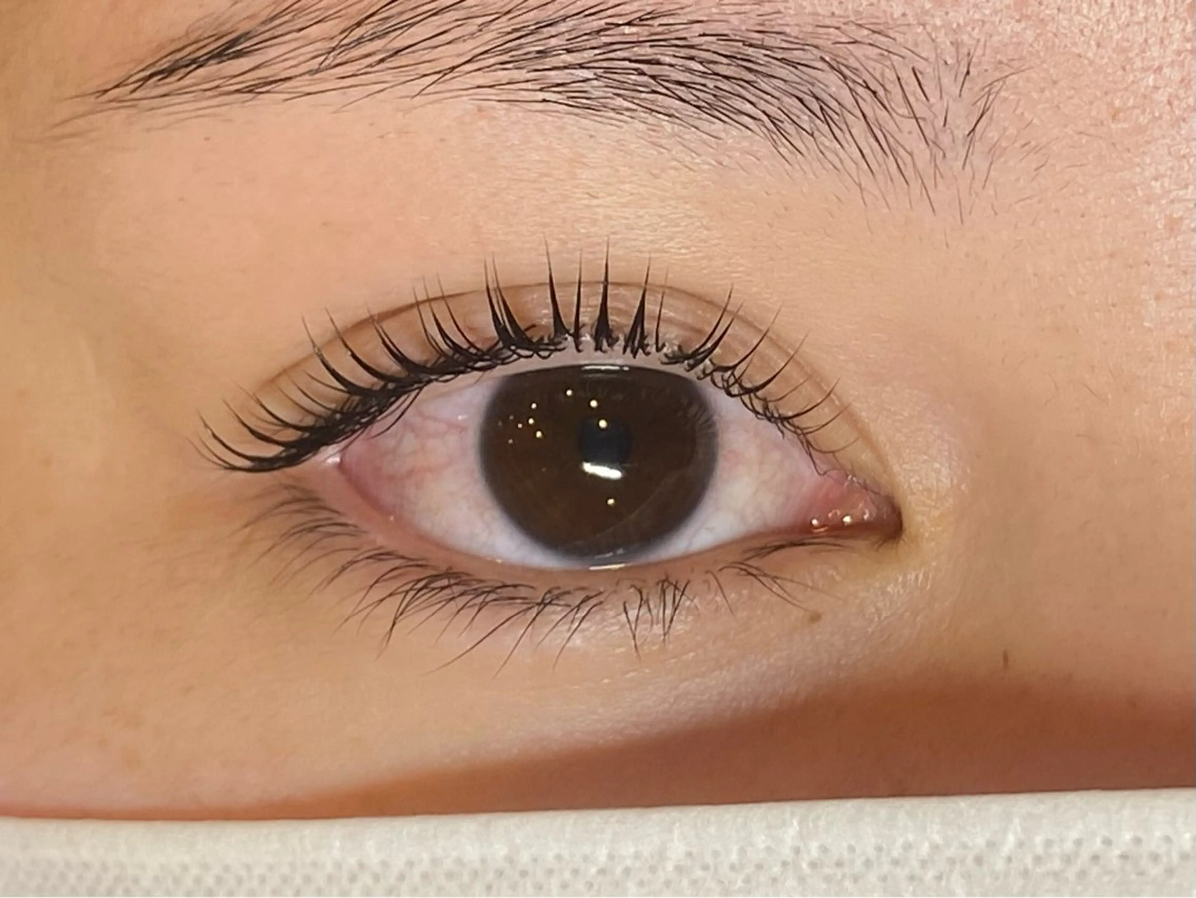 マツエク・マツパ まつげパーマ Daisy lash 京橋店堀井のマツエク・マツパデザイン