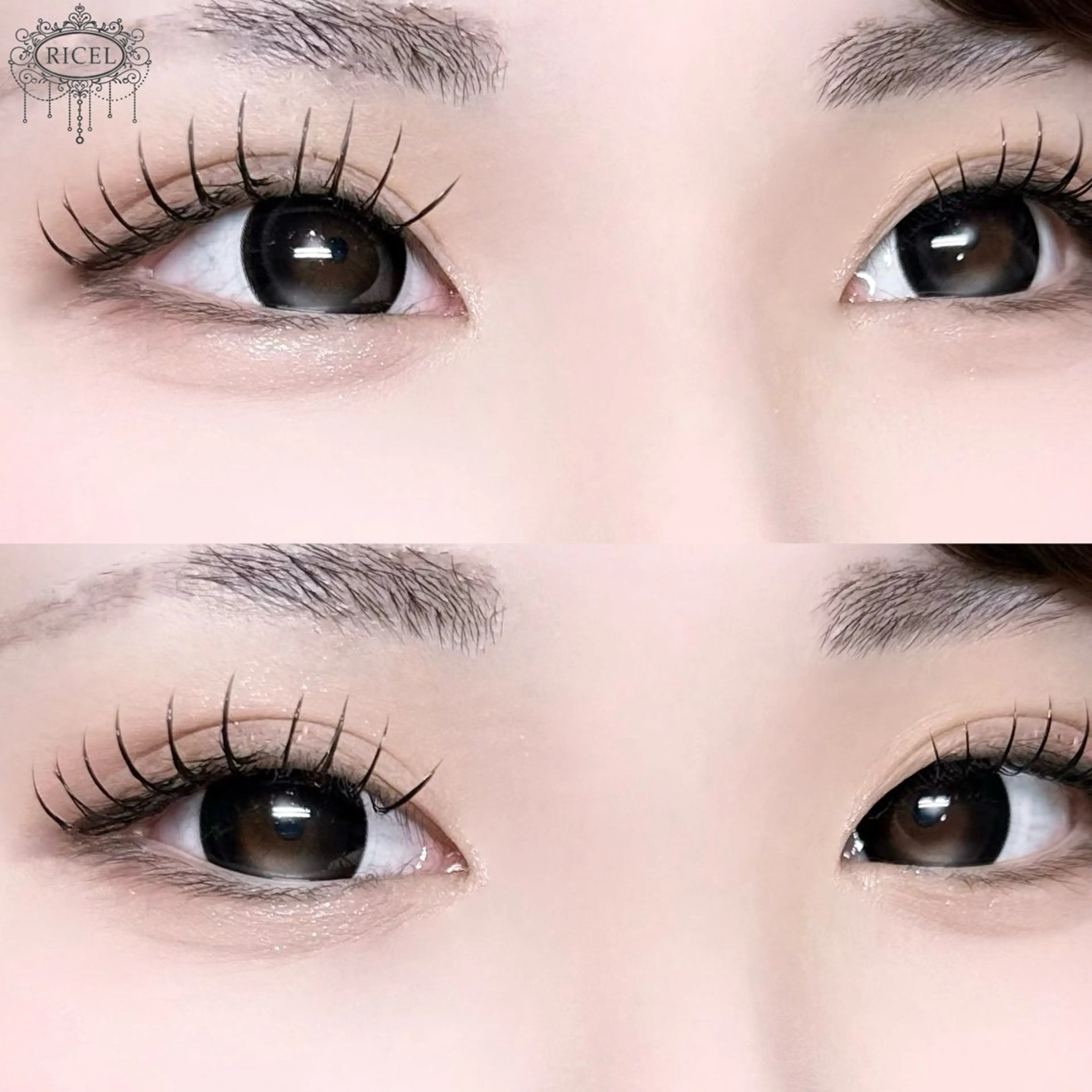 マツエク・マツパ Shiima ꪔ̤̮のマツエク・マツパデザイン