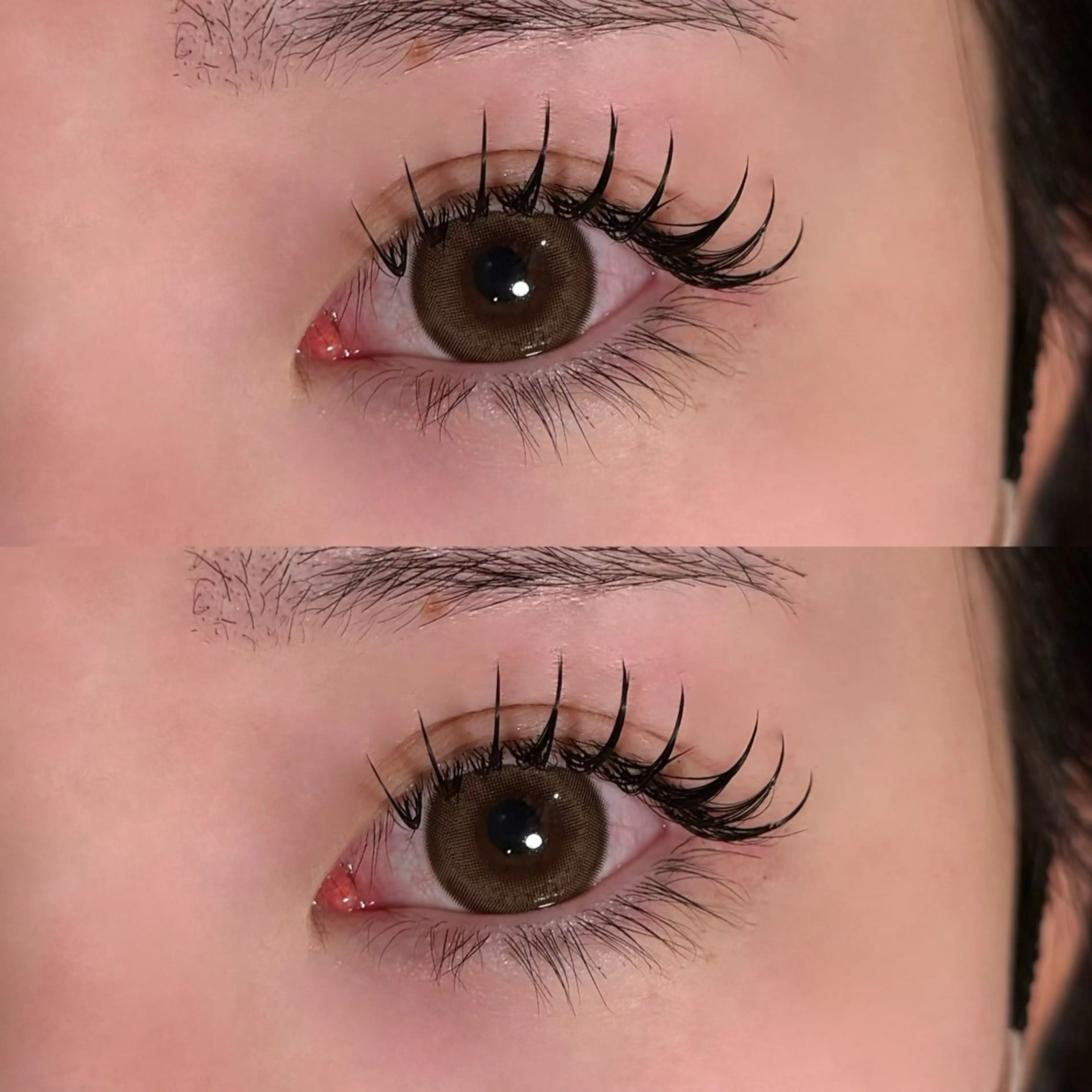 マツエク・マツパ フラットラッシュ マツエク 🐾ROAR🐾 HAZUKIのマツエク・マツパデザイン