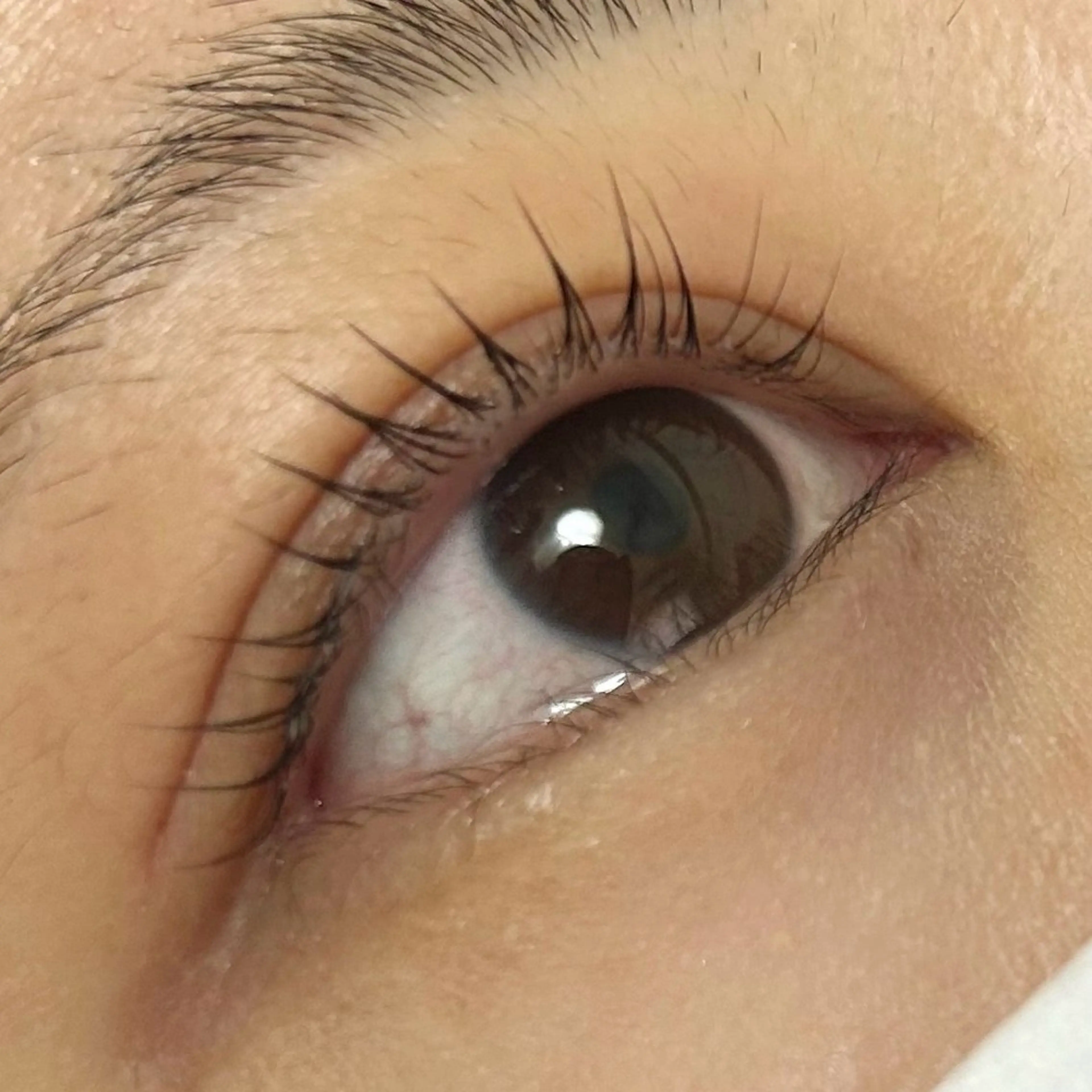 マツエク・マツパ パリジェンヌラッシュリフト siieyelash 鷺沼店HONOKAのマツエク・マツパデザイン