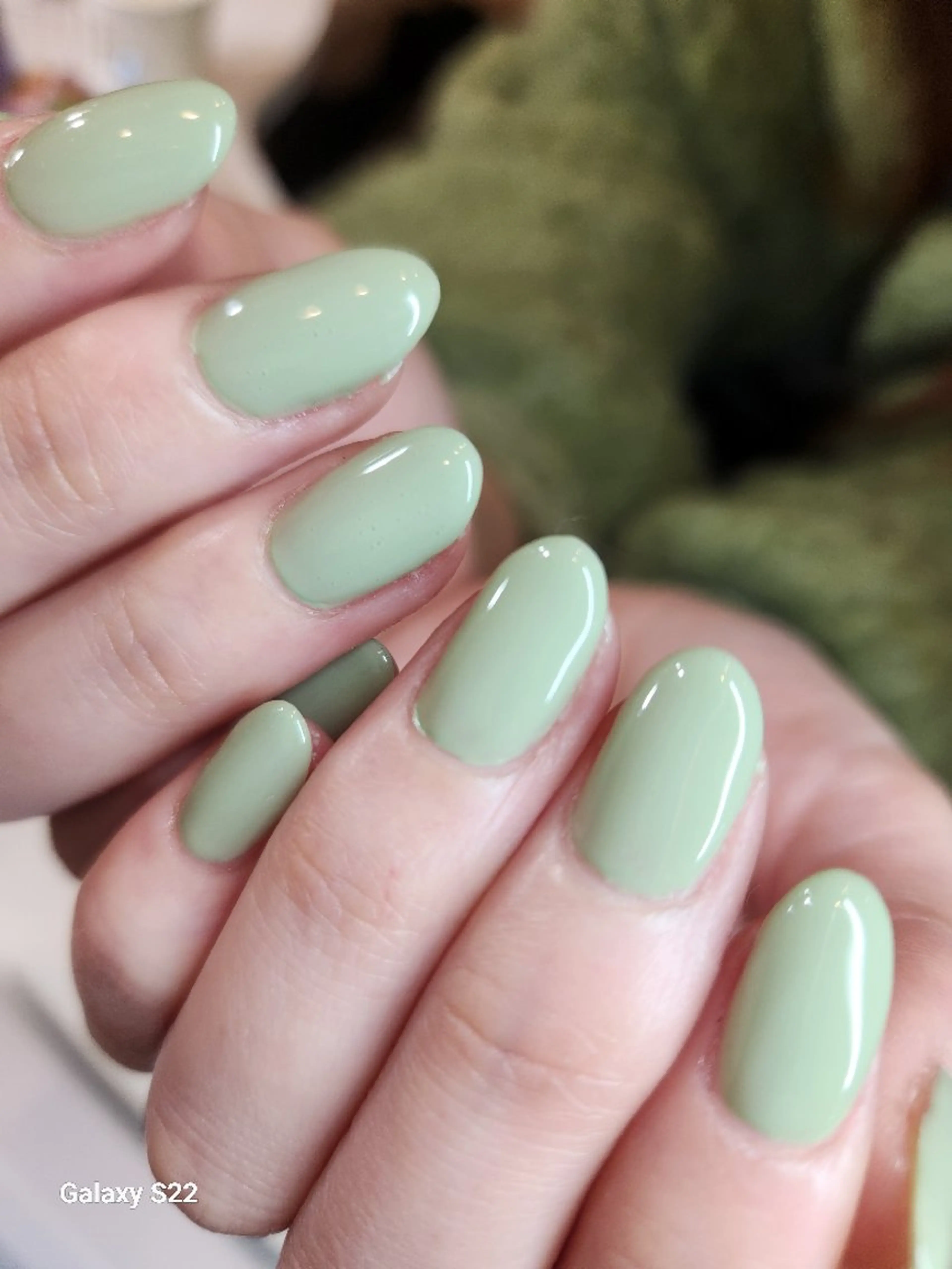 ネイル ワンカラーネイル Non.中目黒nail所属・NailSalon  N.中目黒のネイルデザイン