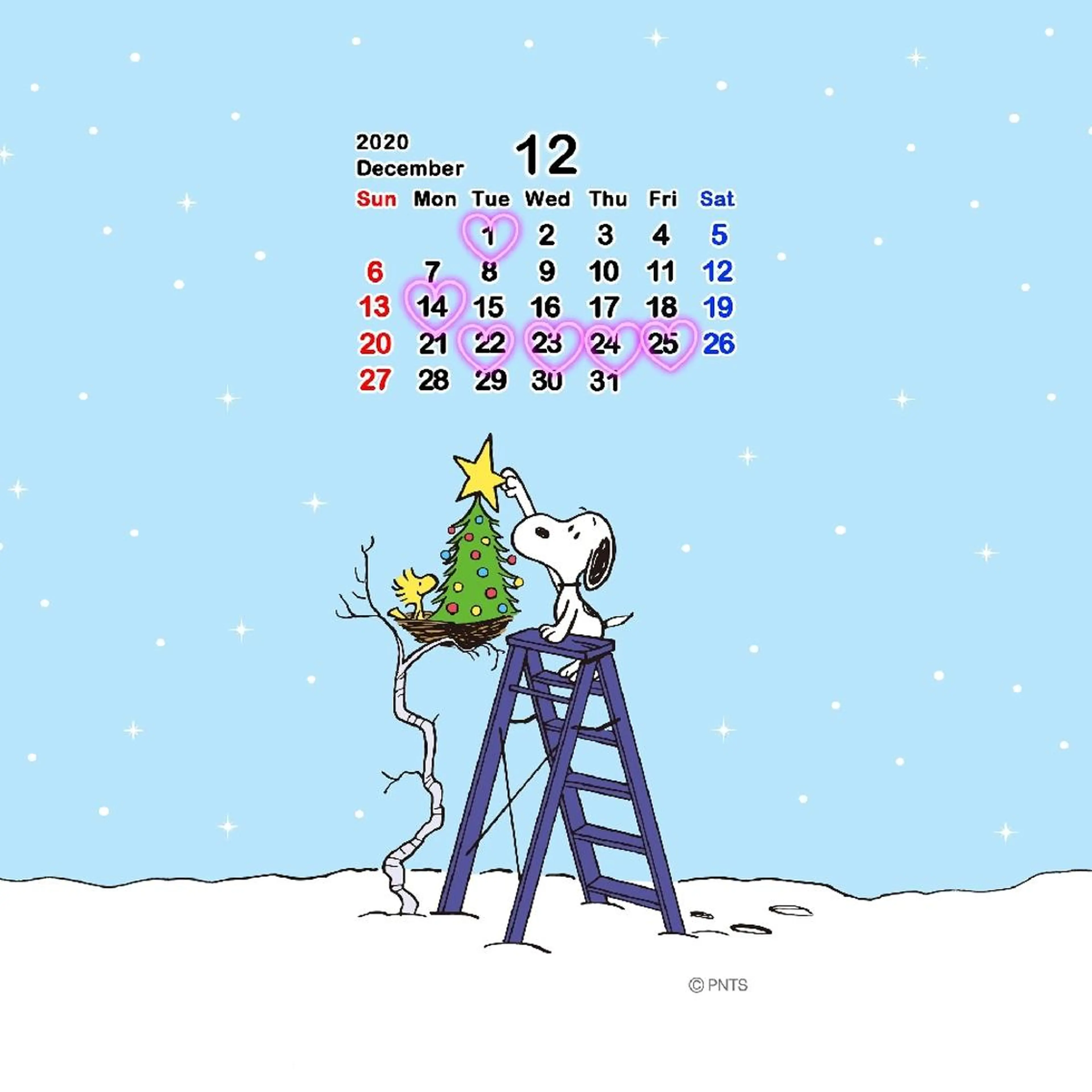 spa hair ark 富井直美のヘアスタイル