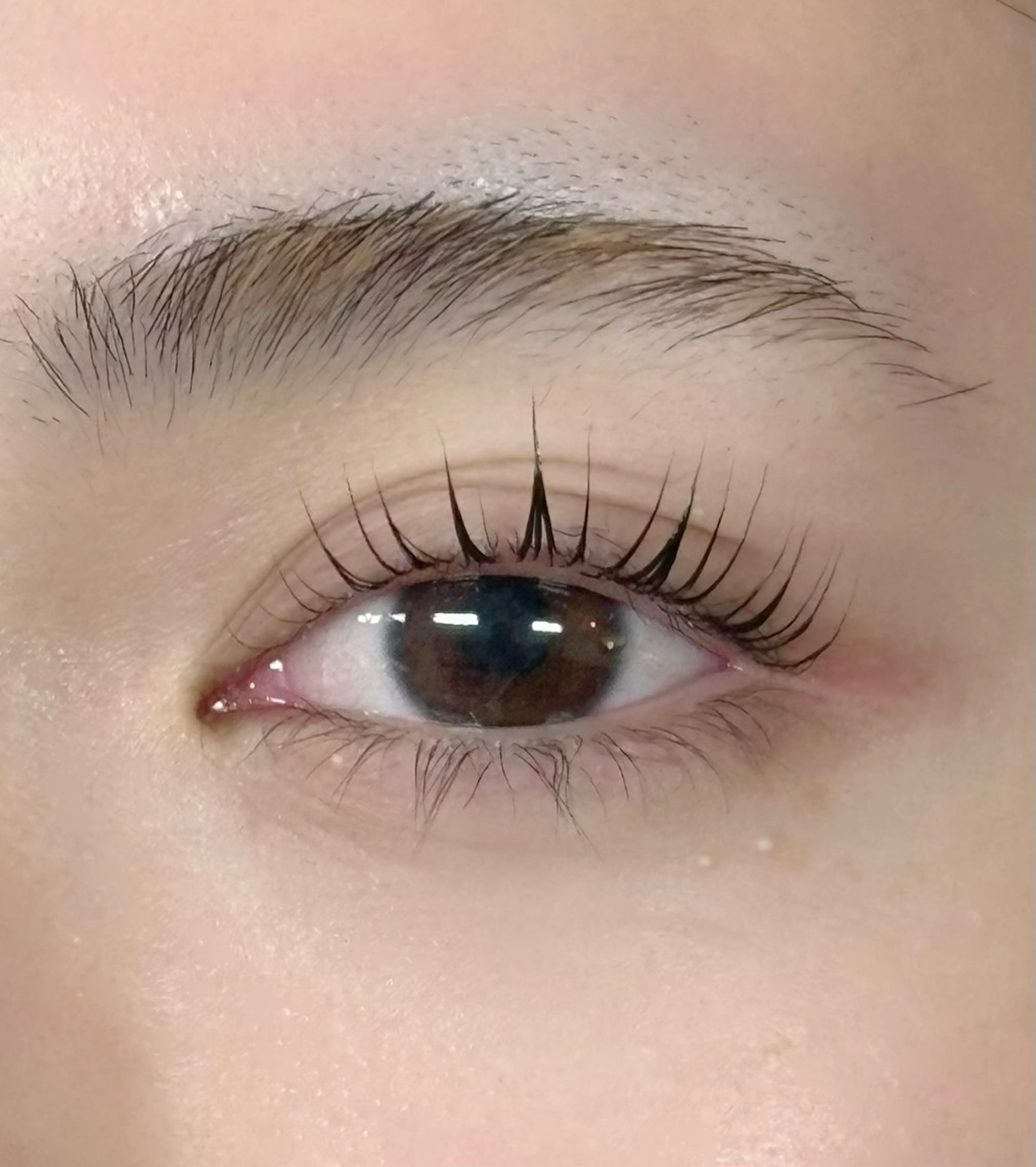 マツエク・マツパ Blossa所属・kohru ‪·͜· ❤︎‬のマツエク・マツパデザイン