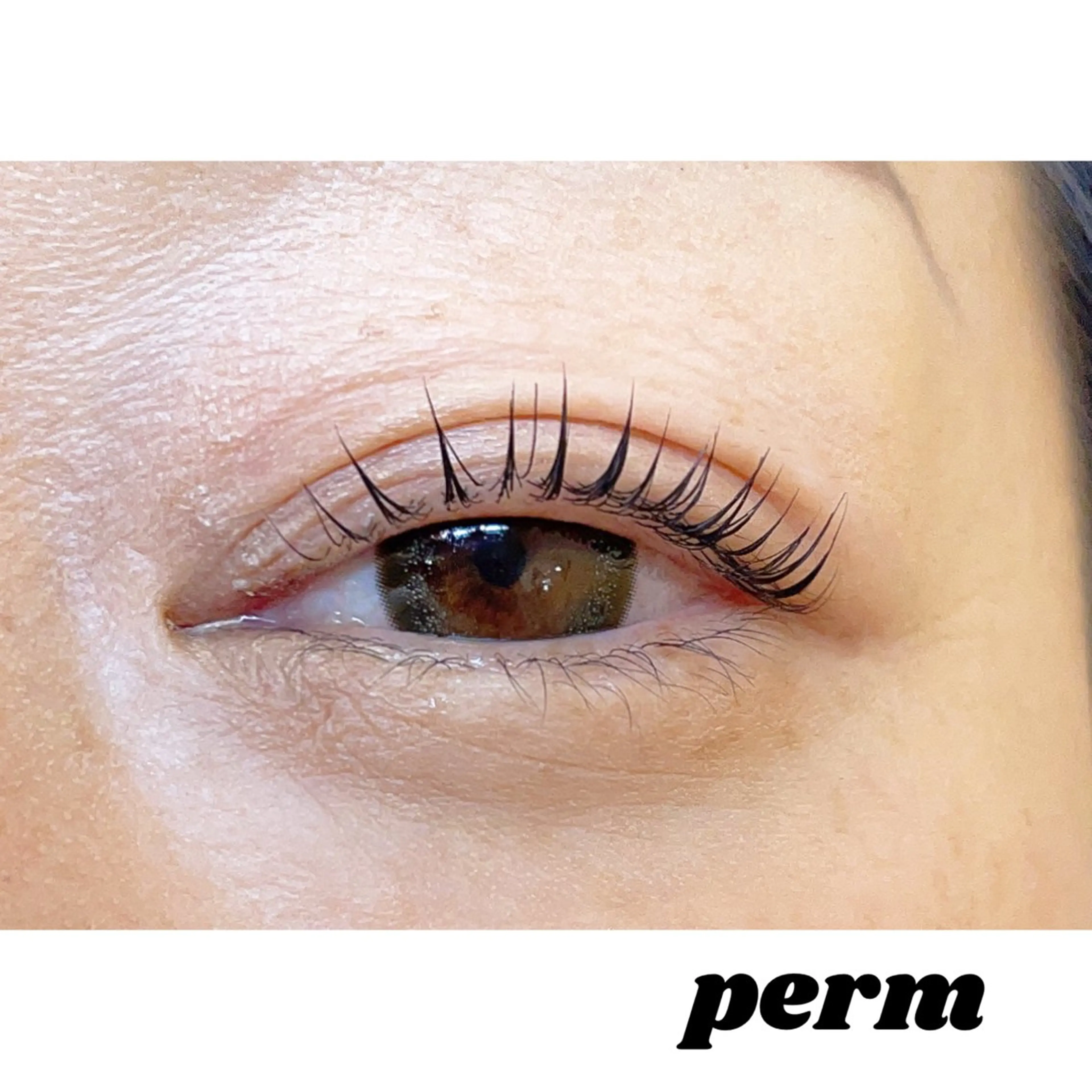 マツエク・マツパ まつげ&眉サロン a la mode 樟葉店所属・a la mode 末澤 ꫂ ၴႅၴのマツエク・マツパデザイン