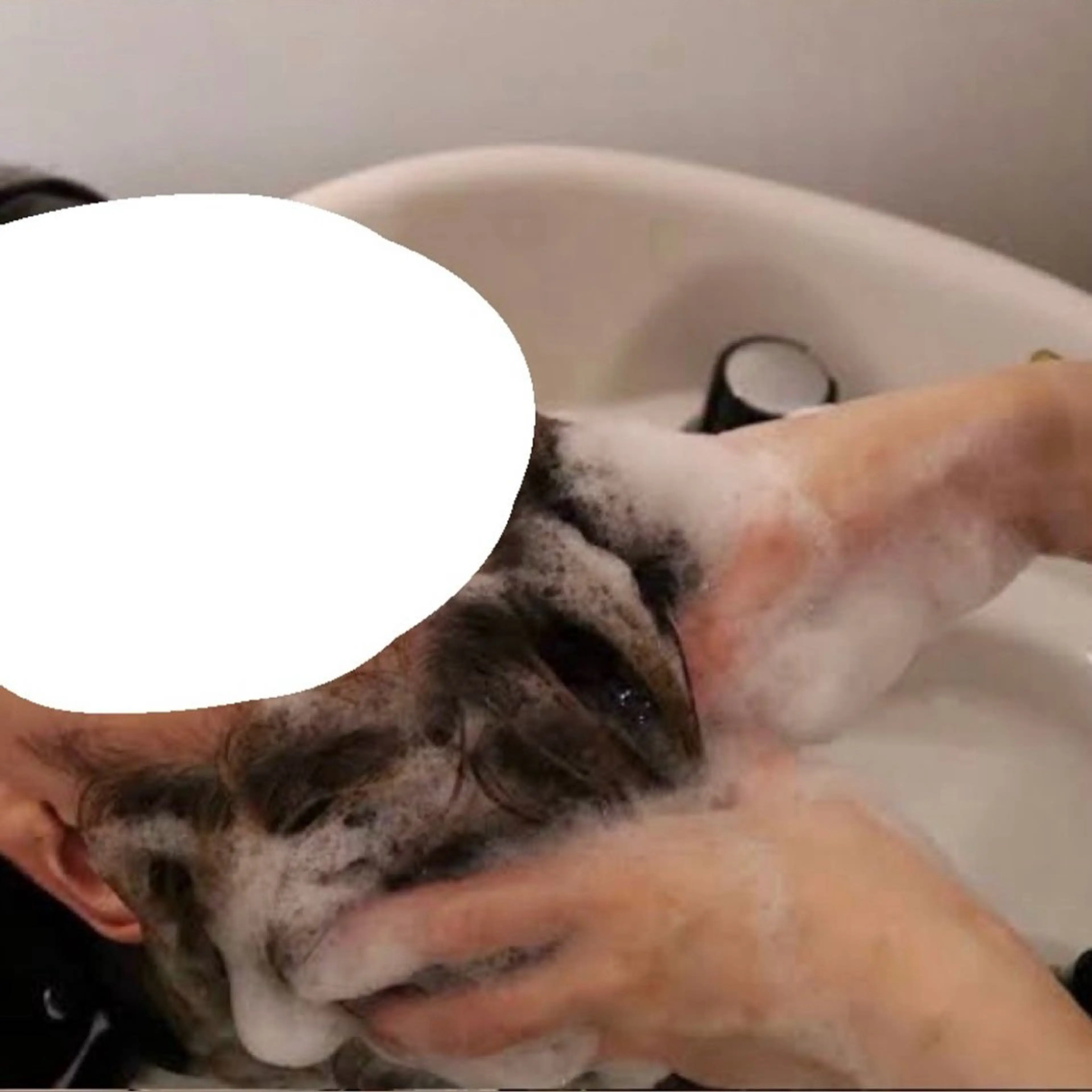 睡眠ヘッドスパ20分➕ヘアケアトリートメント➕肩マッサージの写真