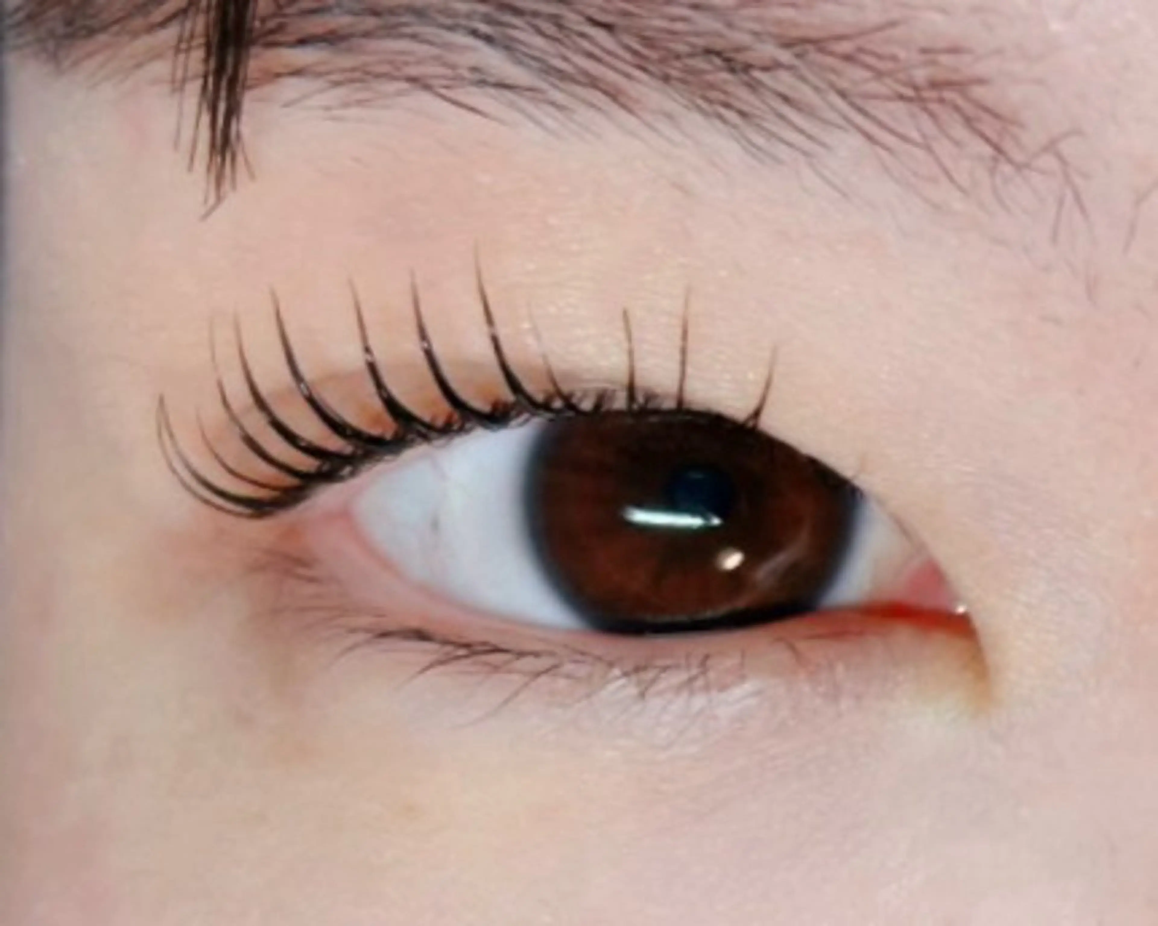 マツエク・マツパ Melia Chieのマツエク・マツパデザイン