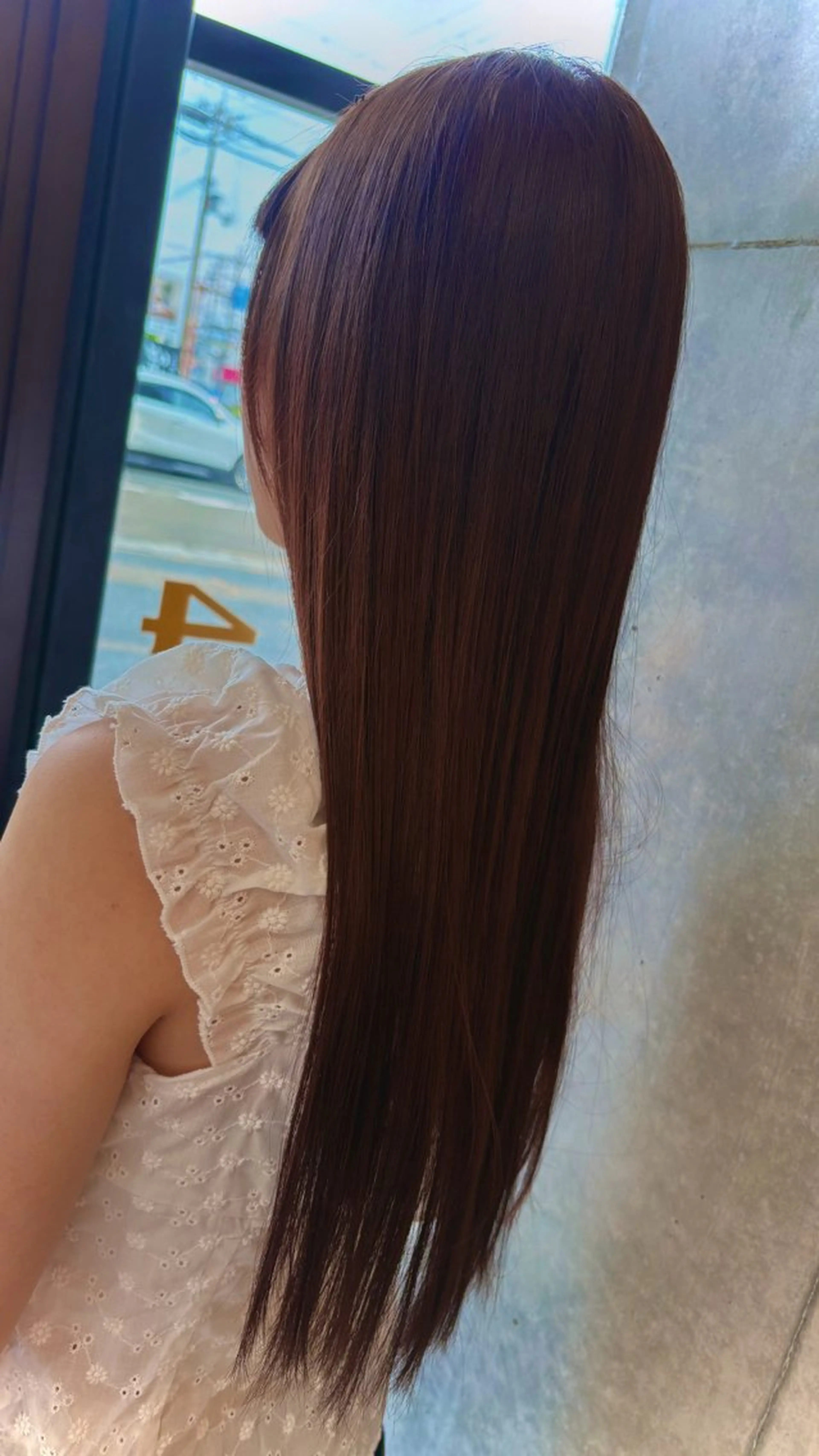 シングルカラーの写真