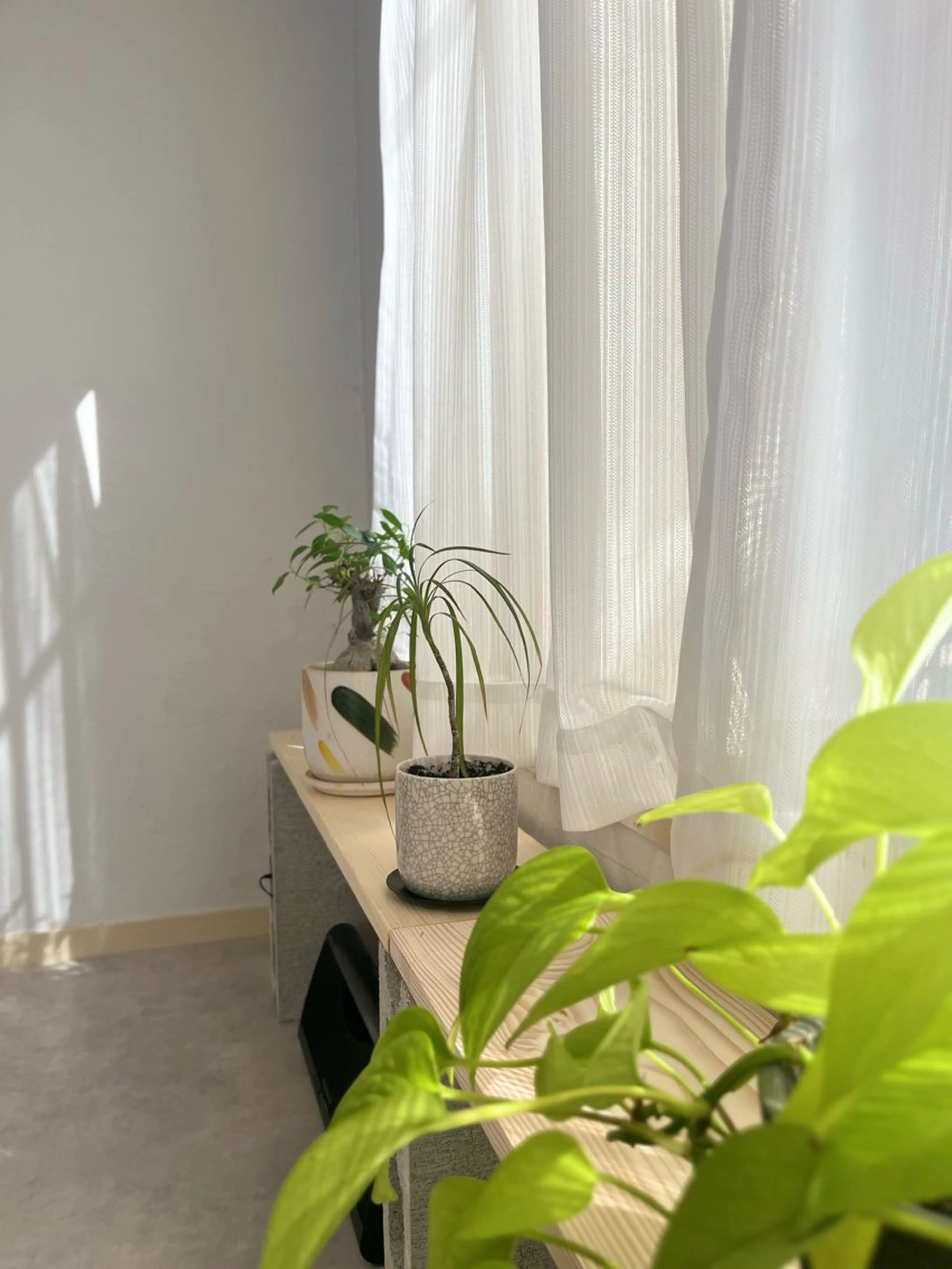 メンズ ビジネス メンズパーマ 【メンズ眉毛サロン】アカヌケボーイズクラブ｜三軒茶屋所属・メンズ専門眉毛サロン 三軒茶屋の眉毛・アイブロウイメージ