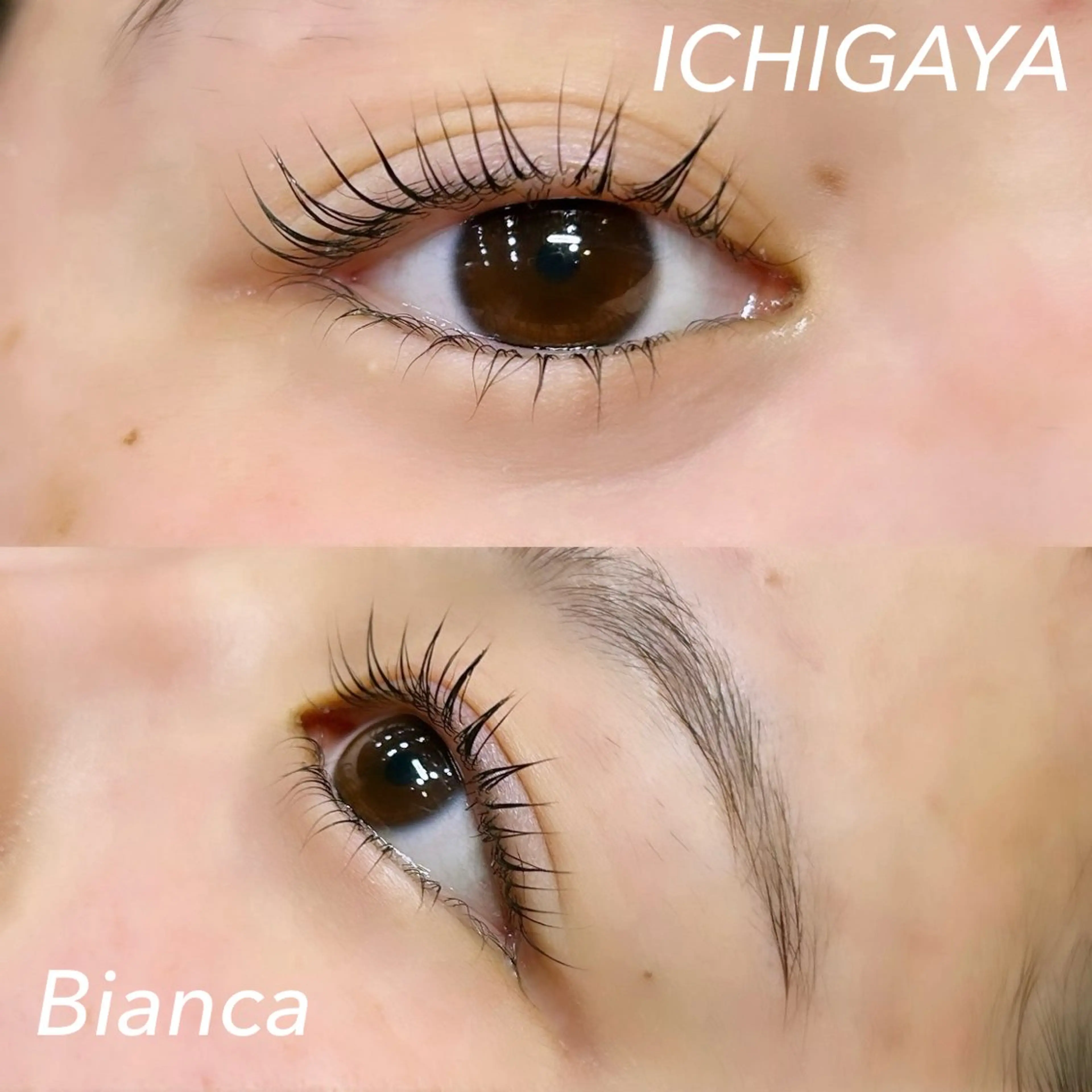 マツエク・マツパ フラットラッシュ パリジェンヌラッシュリフト まつげパーマ マツパ Bianca 市ヶ谷 森川‪ 💗のマツエク・マツパデザイン