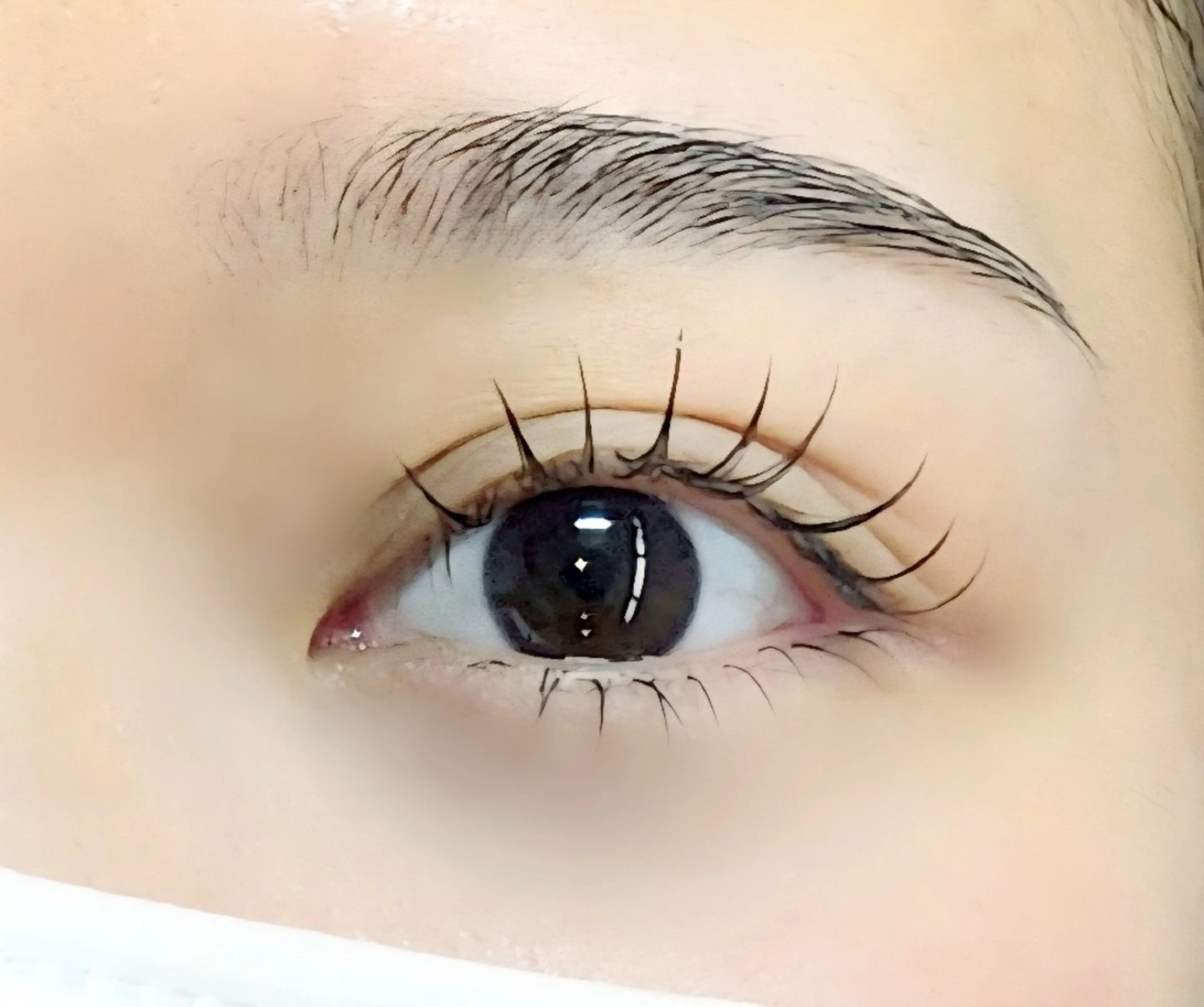 マツエク・マツパ 下まつげエクステ eyelash R𓇼eri🐈️のマツエク・マツパデザイン