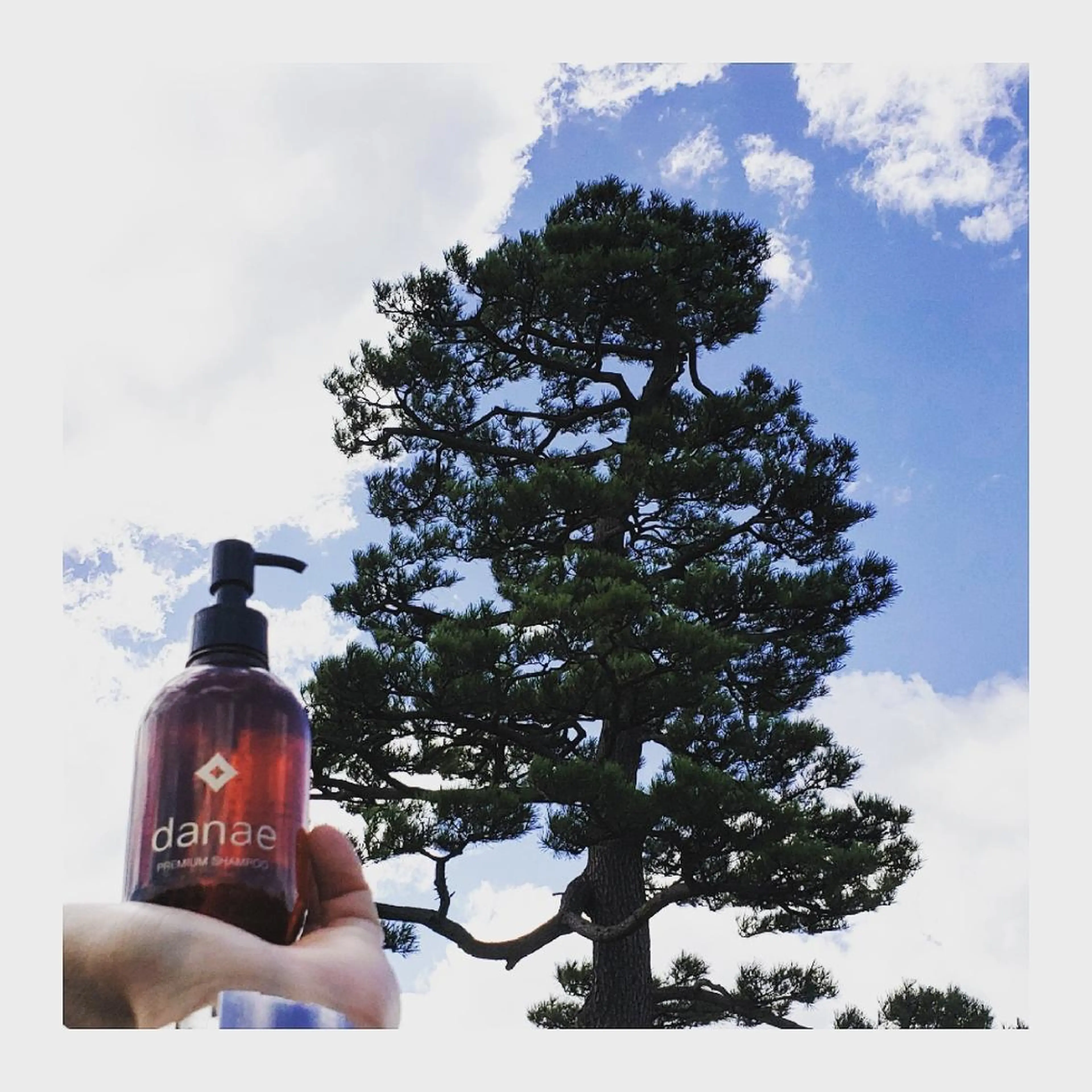 ミディアム カラー ブルーカラー トリートメント 髪の病院ルーミールーム所属・髪の病院 ルーミールームのヘアスタイル