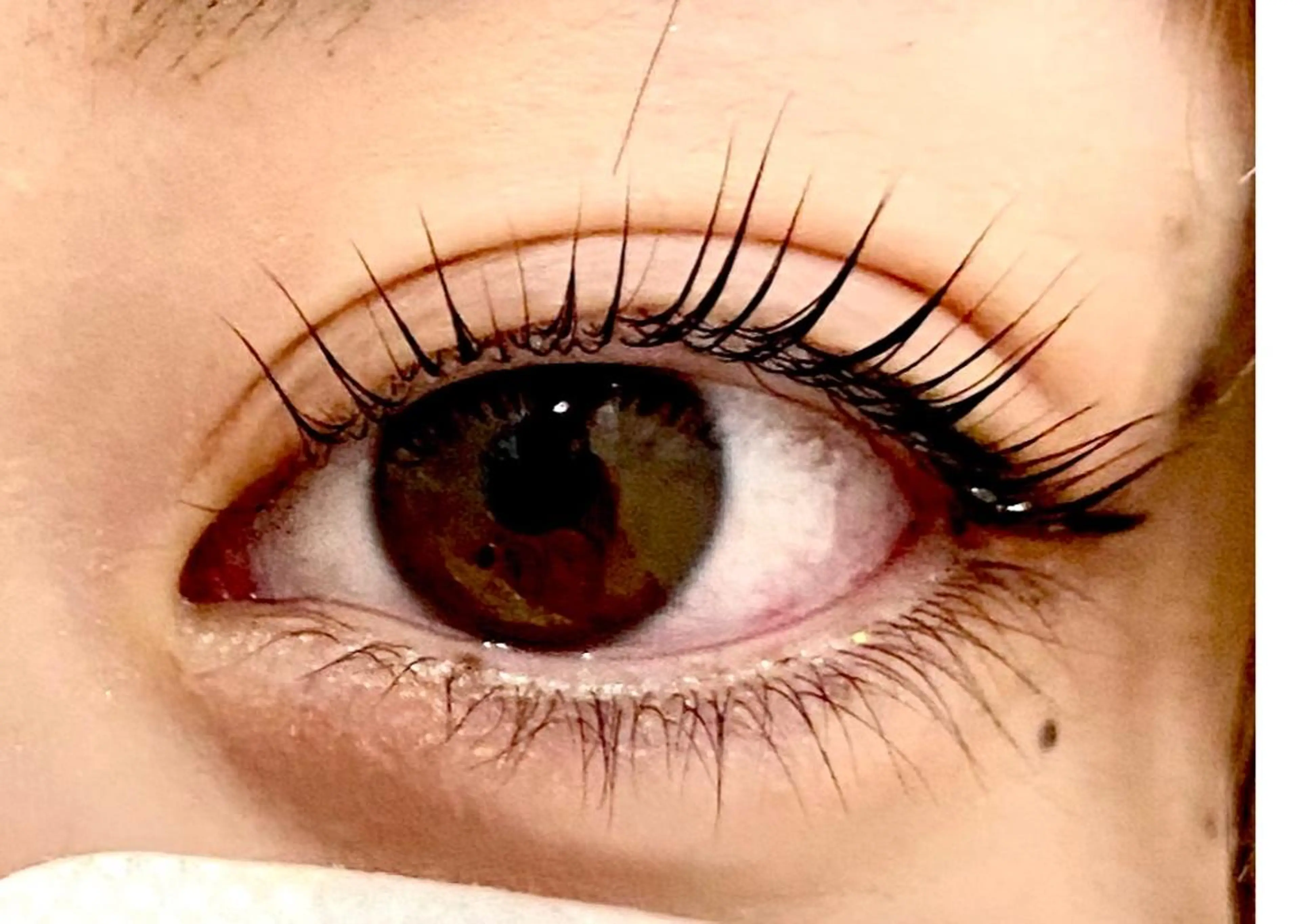 【ナチュラル派に】次世代まつ毛パーマ🌟下まつ毛ラッシュリフト👀✨の写真
