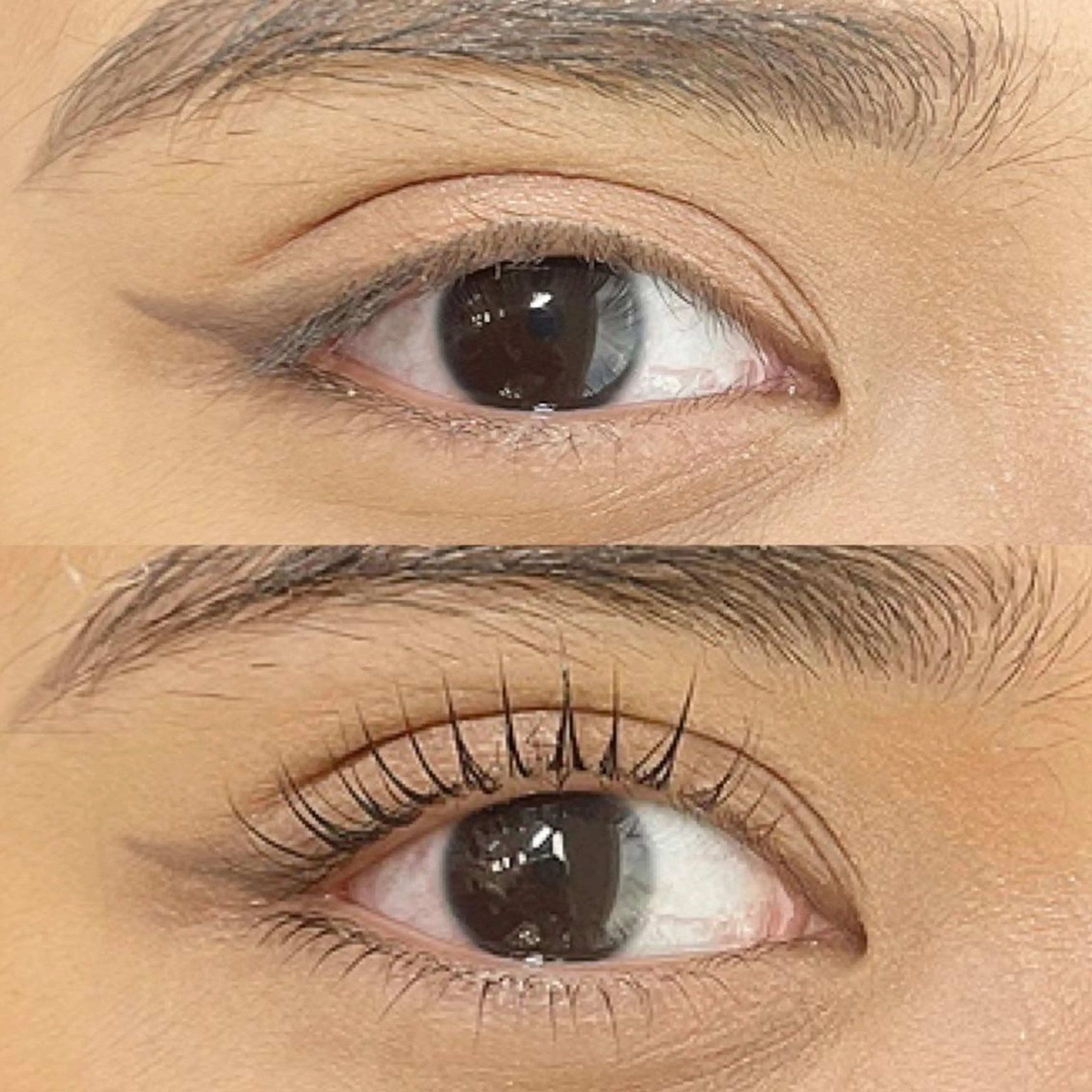 マツエク・マツパ nail eyelash R所属・モテまつげ𓇼 R𓇼のマツエク・マツパデザイン