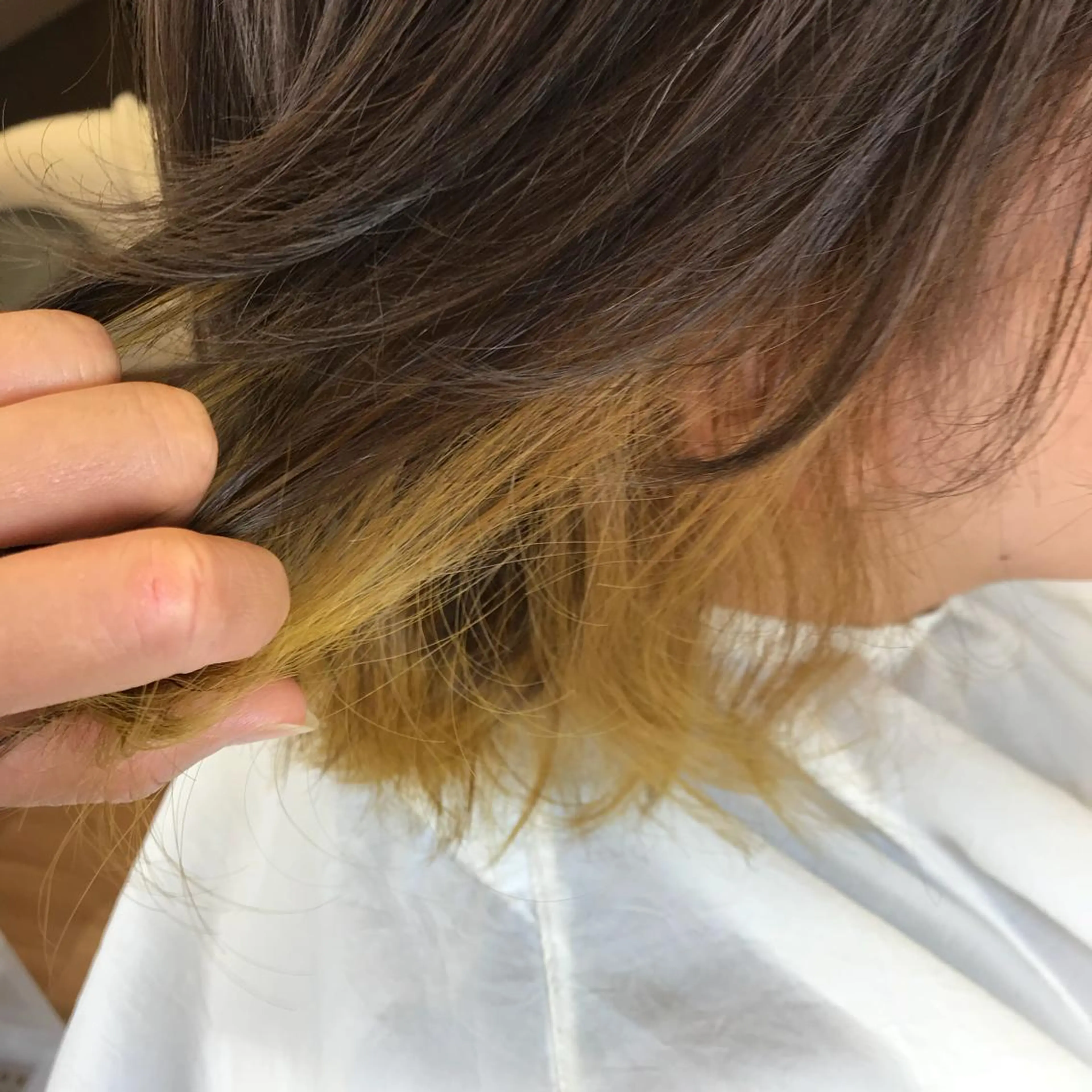 ミディアム カラー アッシュ ベージュカラー 黒髪 ブルーカラー ボルドーカラー ヘアカラー 三橋 和希のヘアスタイル
