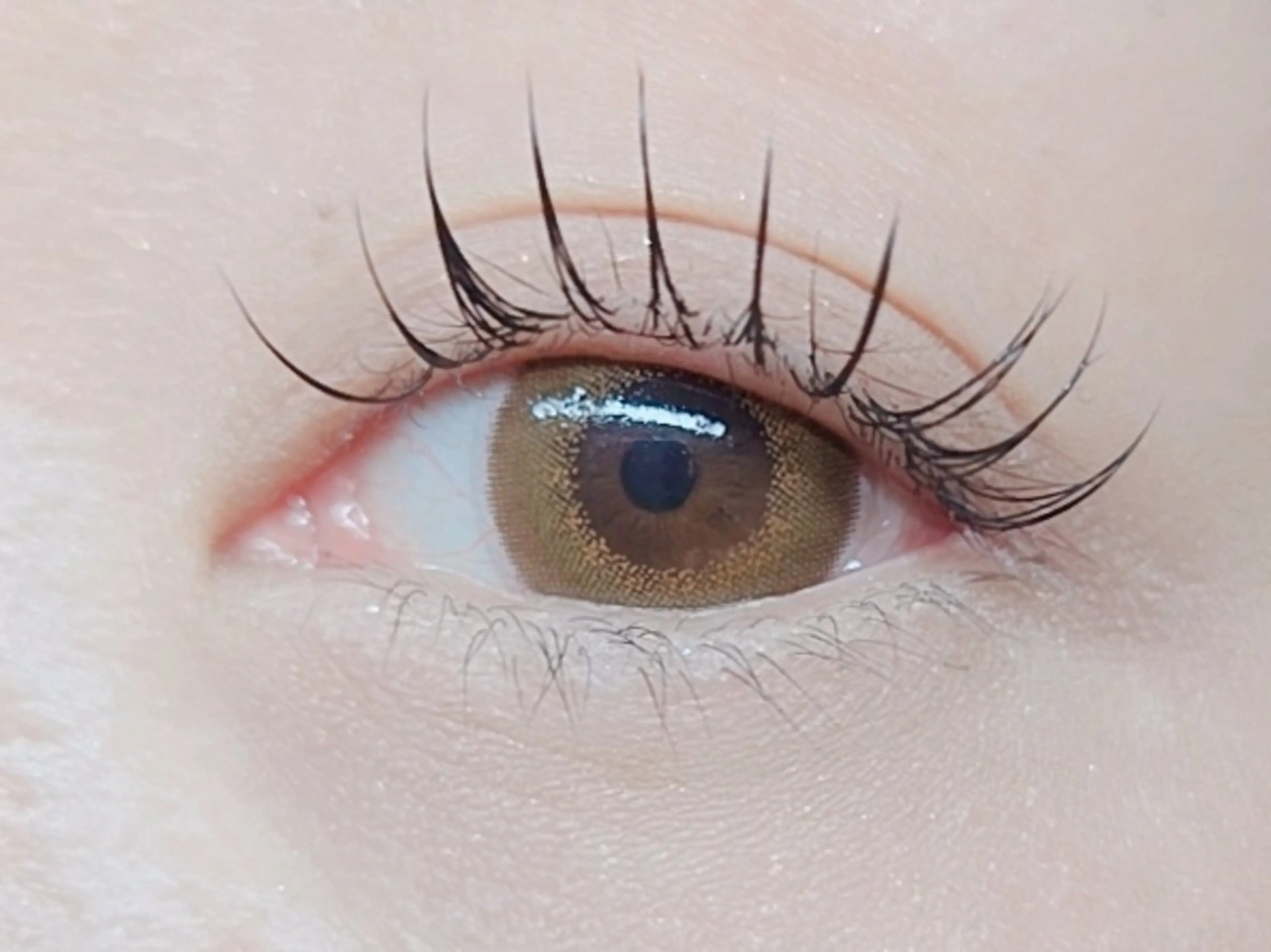 (オフ無料)フラットラッシュ100本＋コーティング付の写真