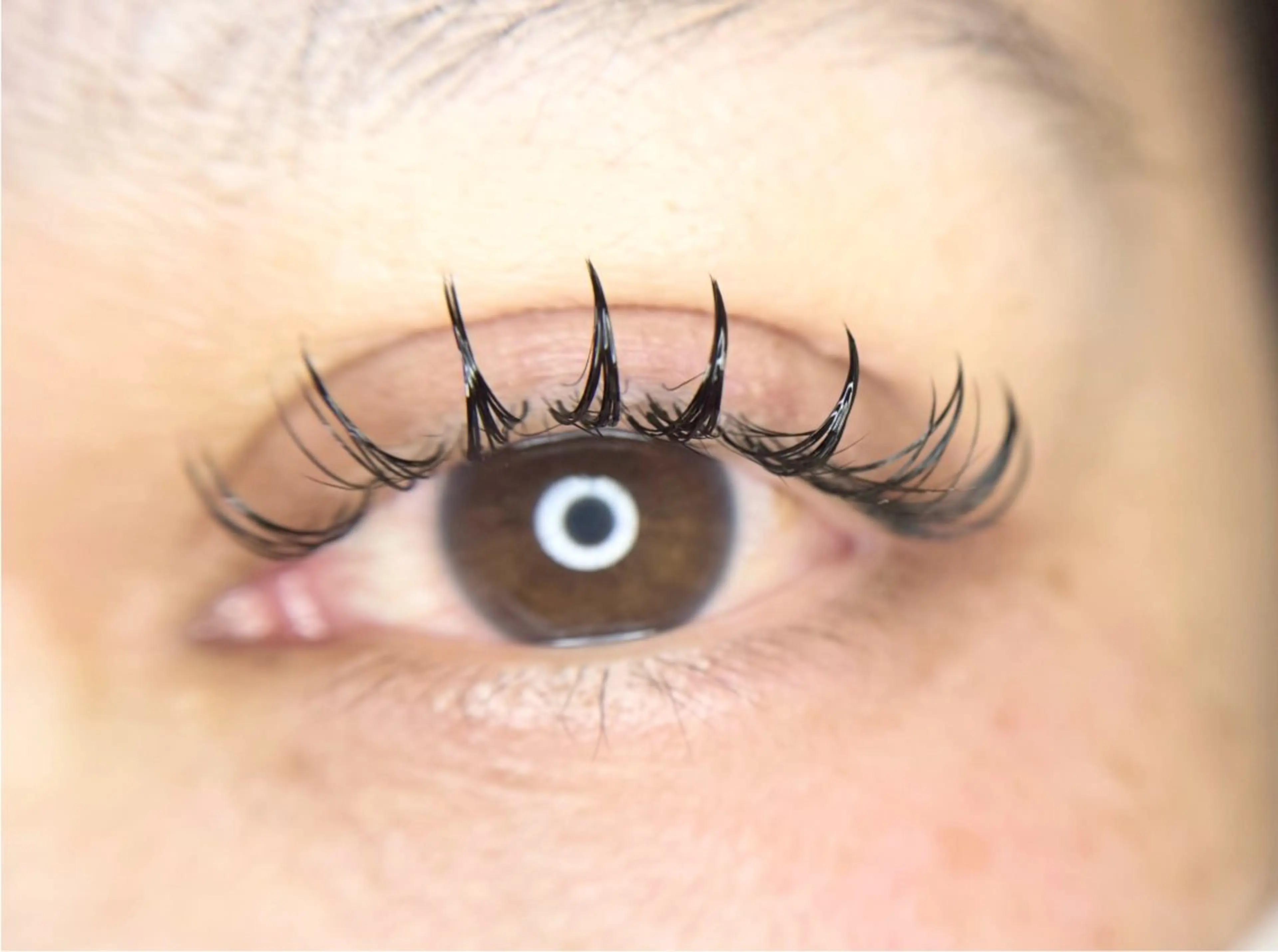 マツエク・マツパ マツエク TReiS所属・TReiS eyelashのマツエク・マツパデザイン