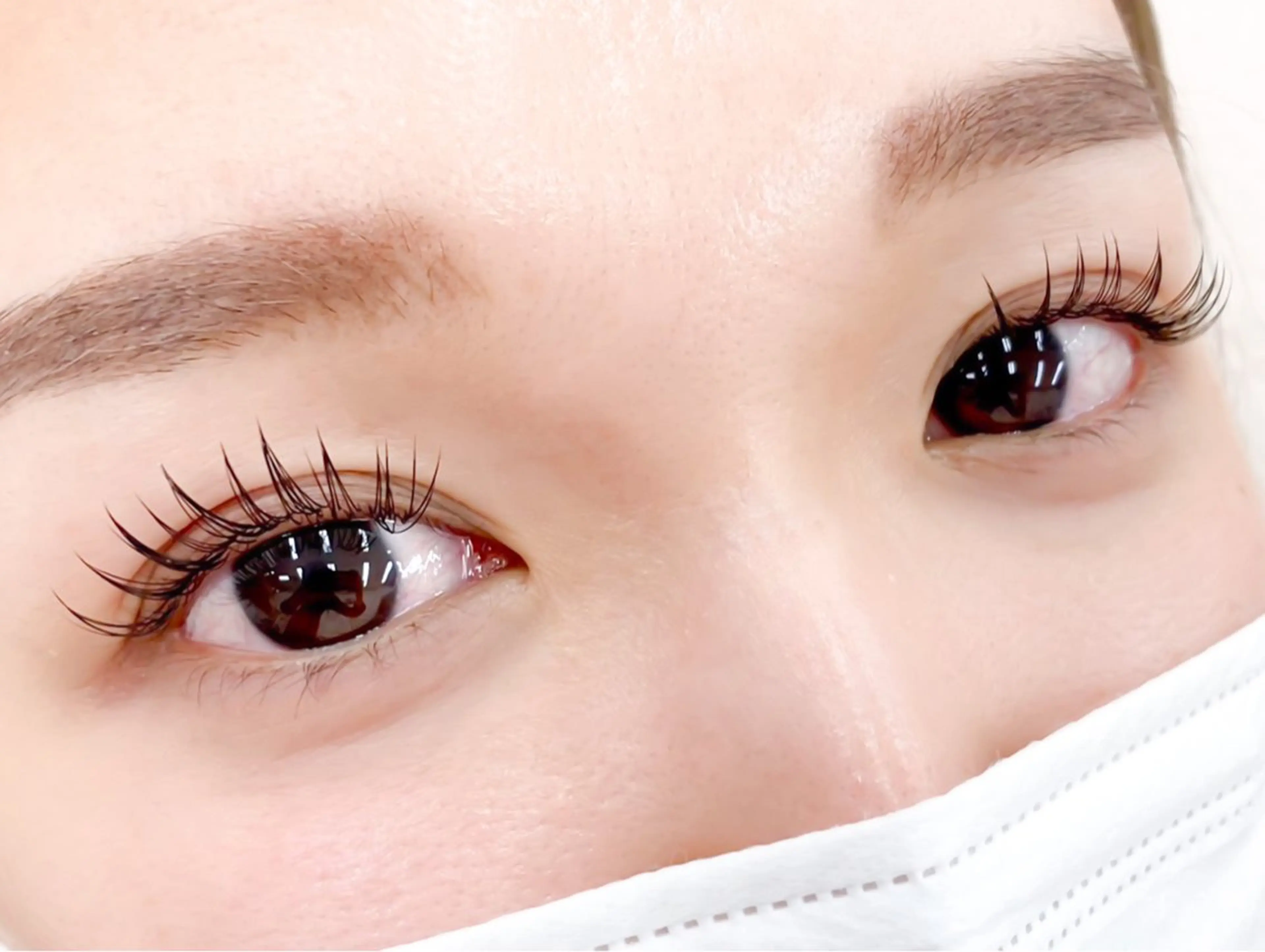 【12月限定】🤍トリートメント付き🤍シングルラッシュ上100本程🎀⏱‪60分の写真