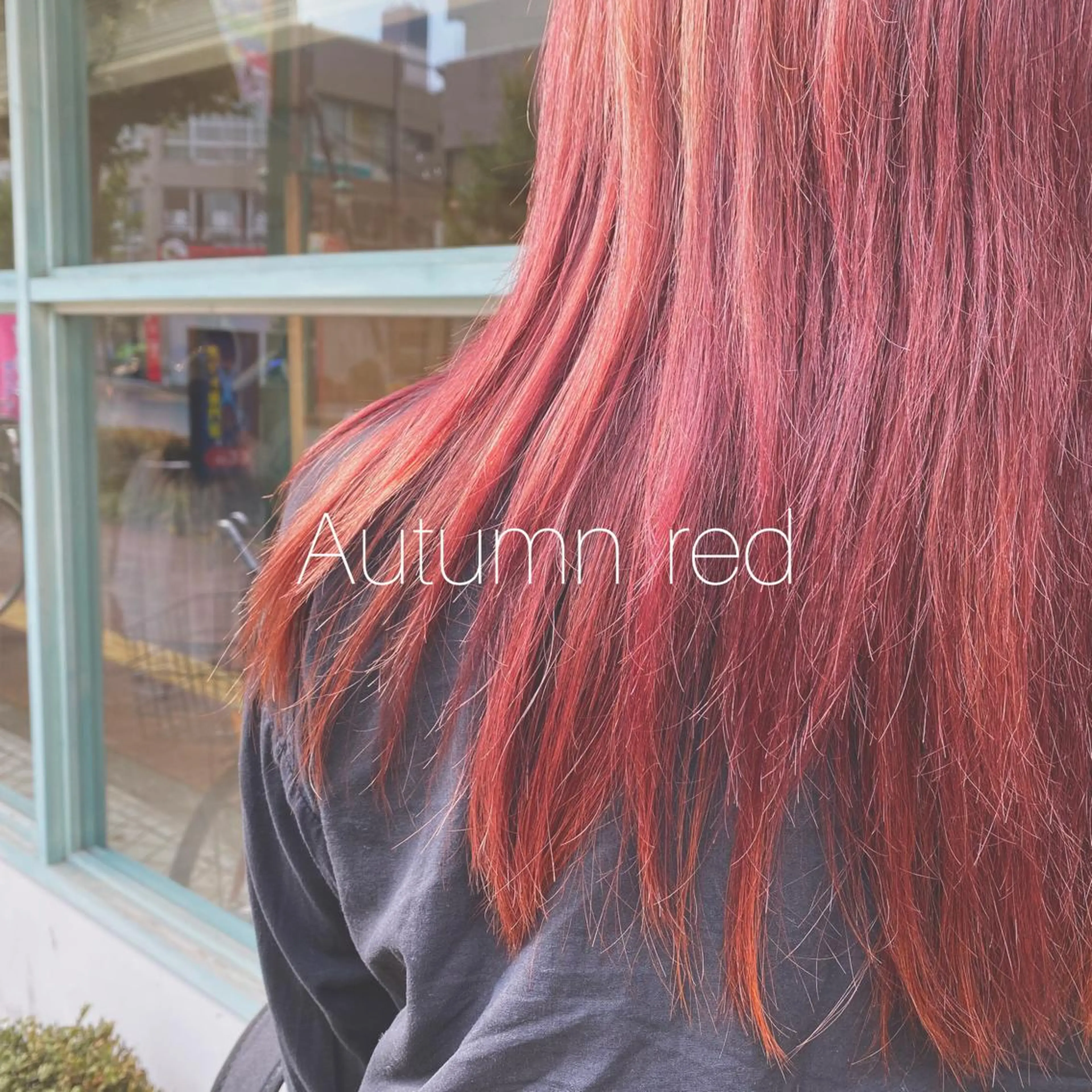 セミロング カラー ヘアカラー トリートメント 𓅰なかがわ ふみな𓅯のヘアスタイル