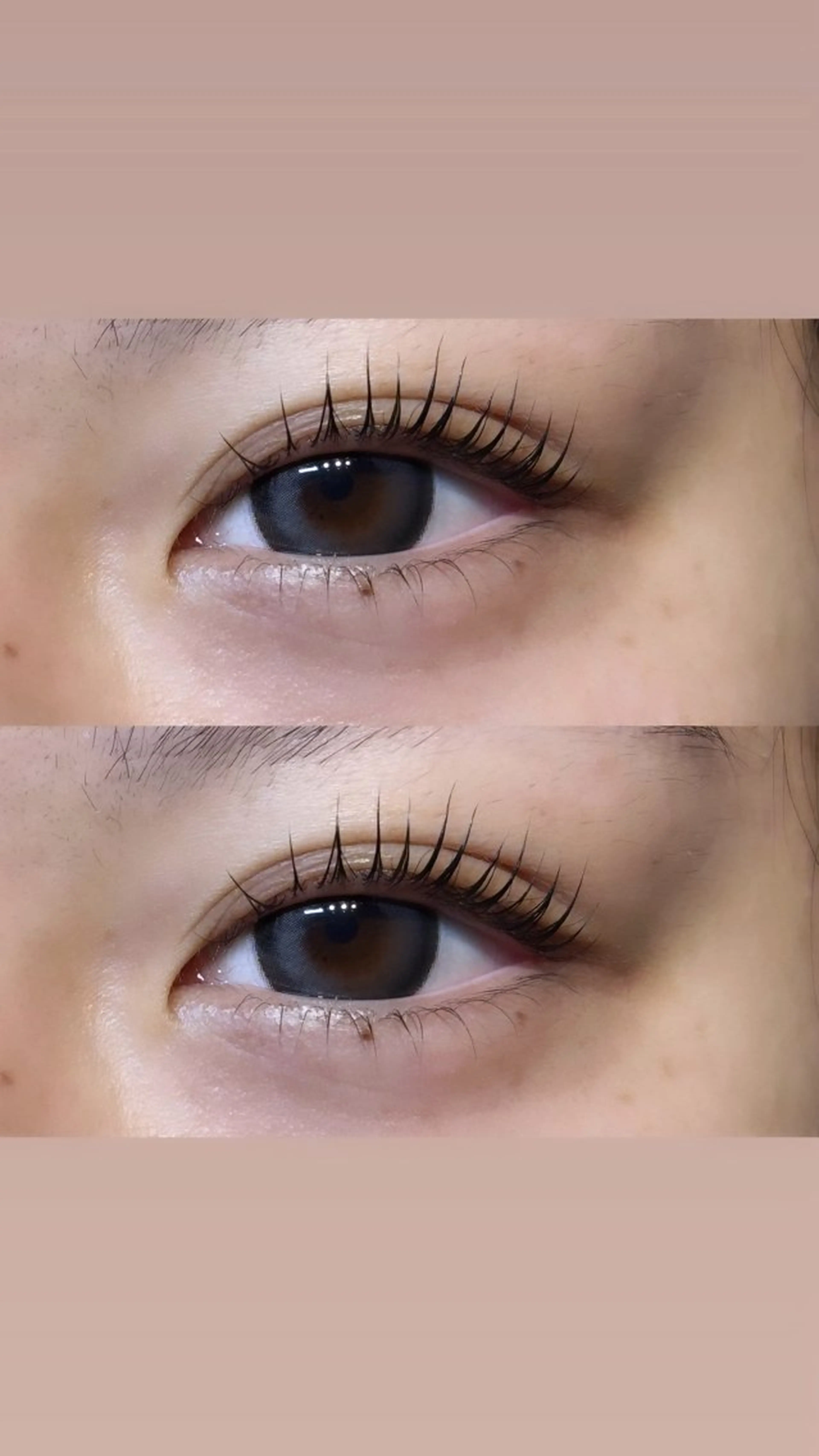 ☀︎パリジェンヌラッシュリフト上のみ🎀の写真