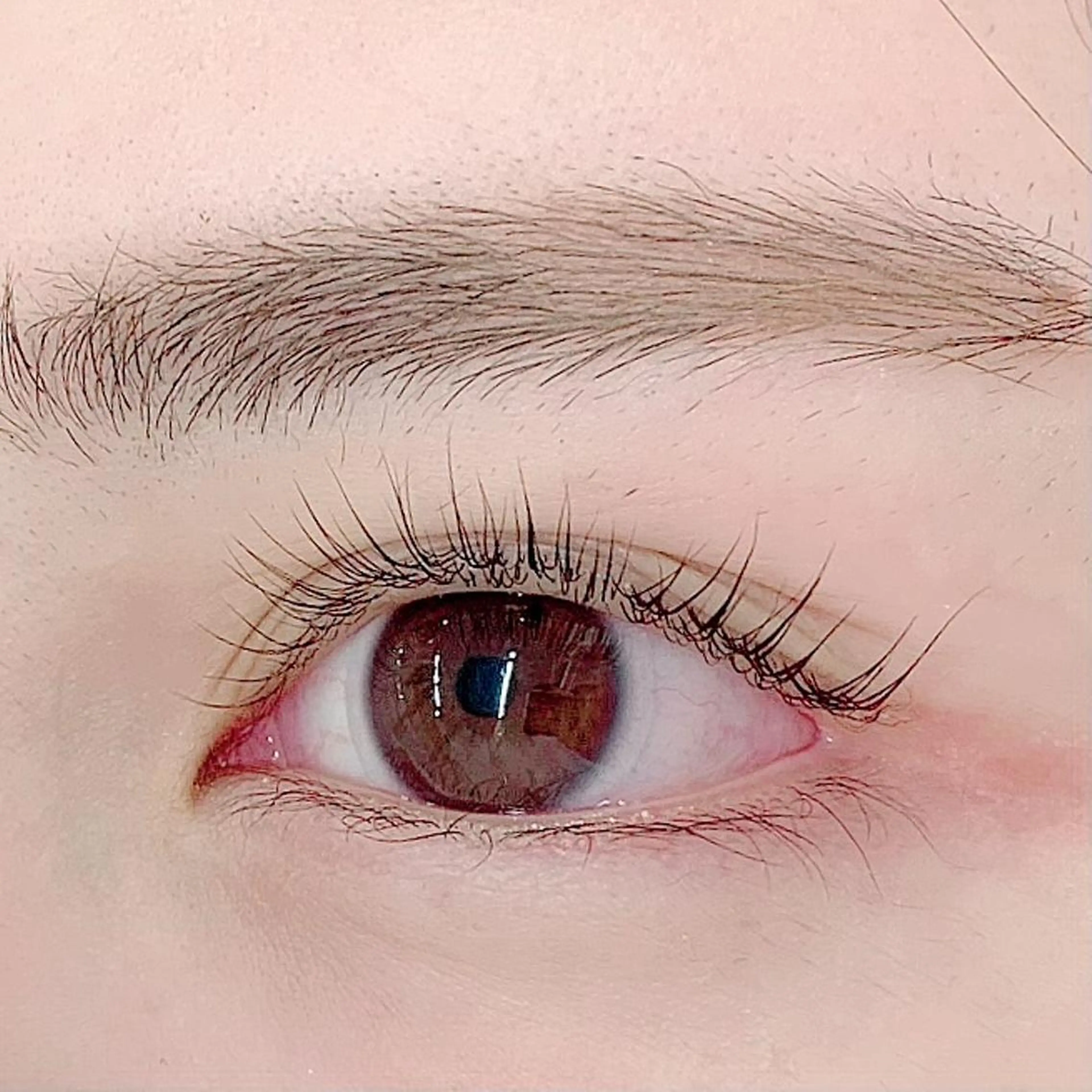 マツエク・マツパ パリジェンヌラッシュリフト BellFlower Aki(眉・まつげ)のマツエク・マツパデザイン