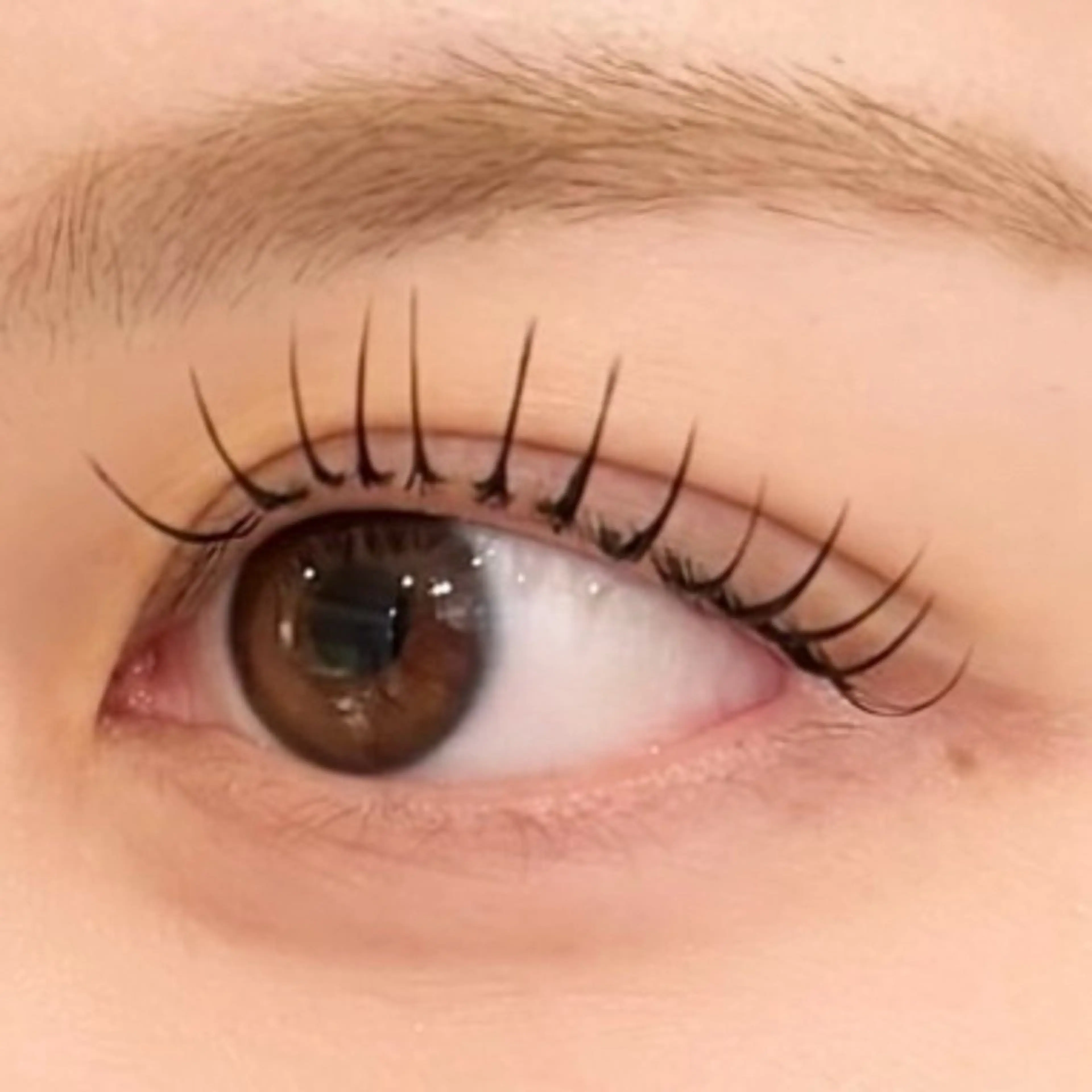 マツエク・マツパ Eye Nail & total beauty salon アイマニ所属・eyelist 🎀SHIINA🎀のマツエク・マツパデザイン