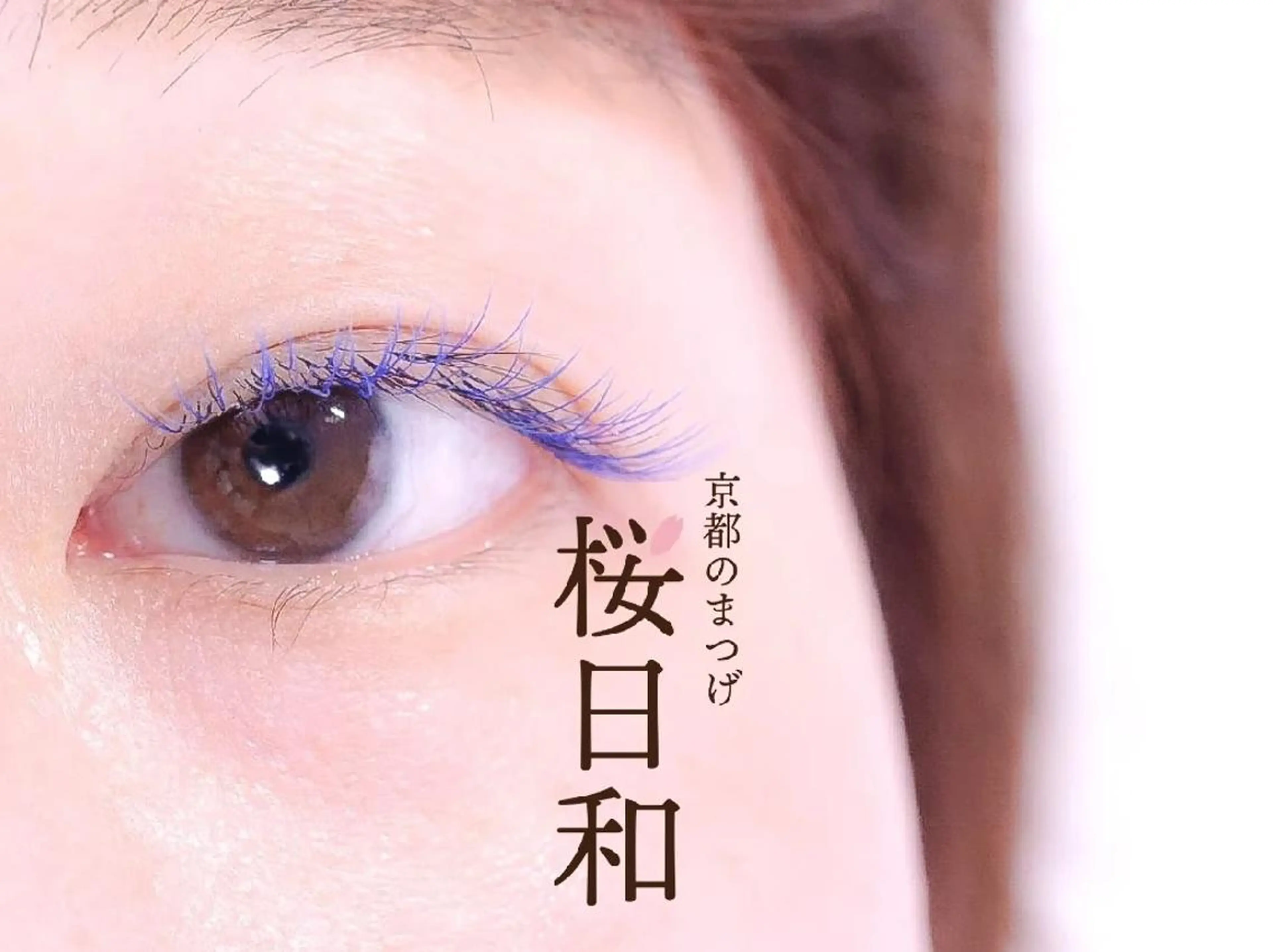 マツエク・マツパ カラーマツエク フラットラッシュ Jカール セクシー 京都のまつげ桜日和 小島美桜のマツエク・マツパデザイン
