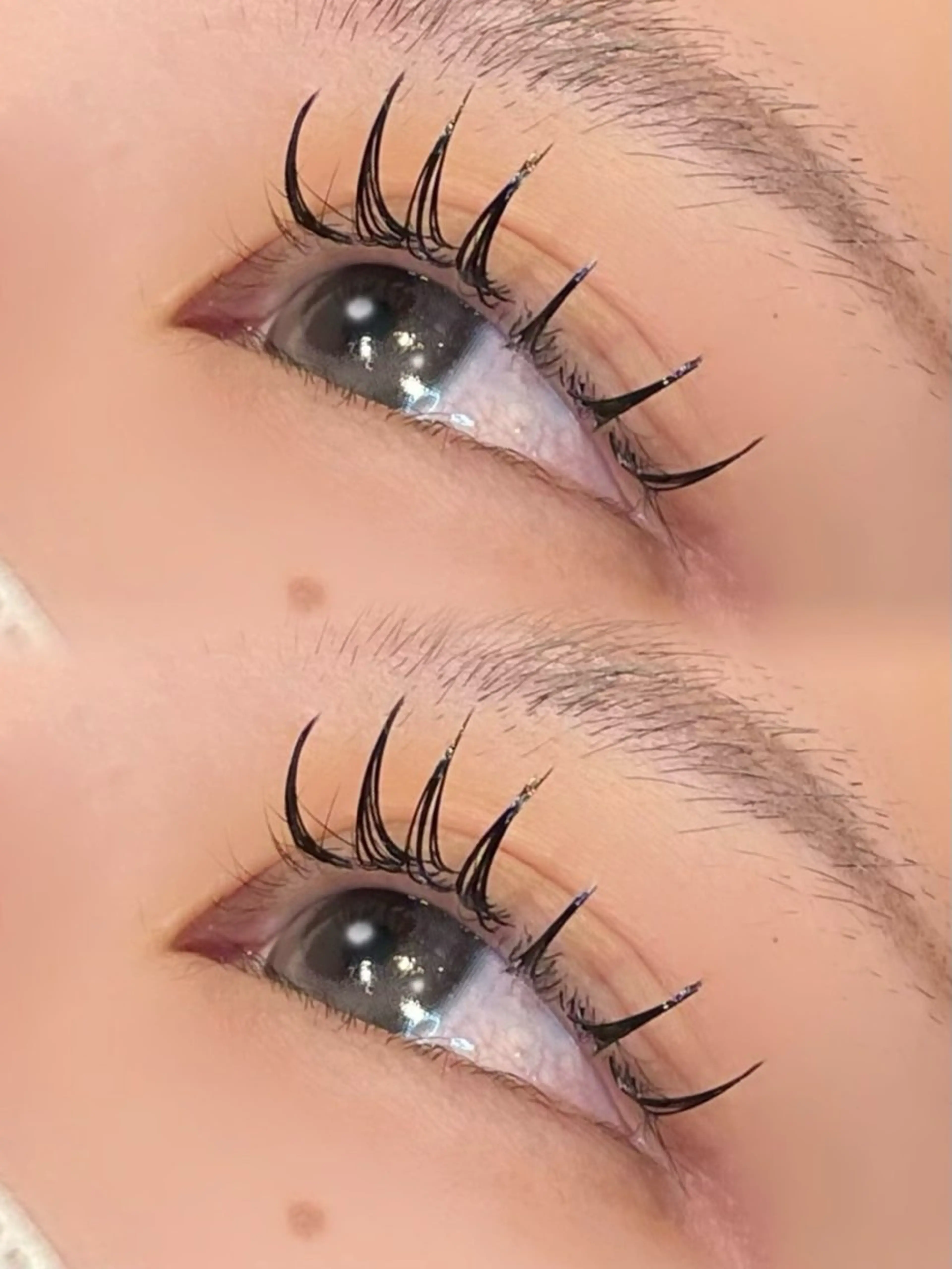 マツエク・マツパ マツエク まつパ/マツエク🤎 艶カラー/ゆり♡⃛のマツエク・マツパデザイン