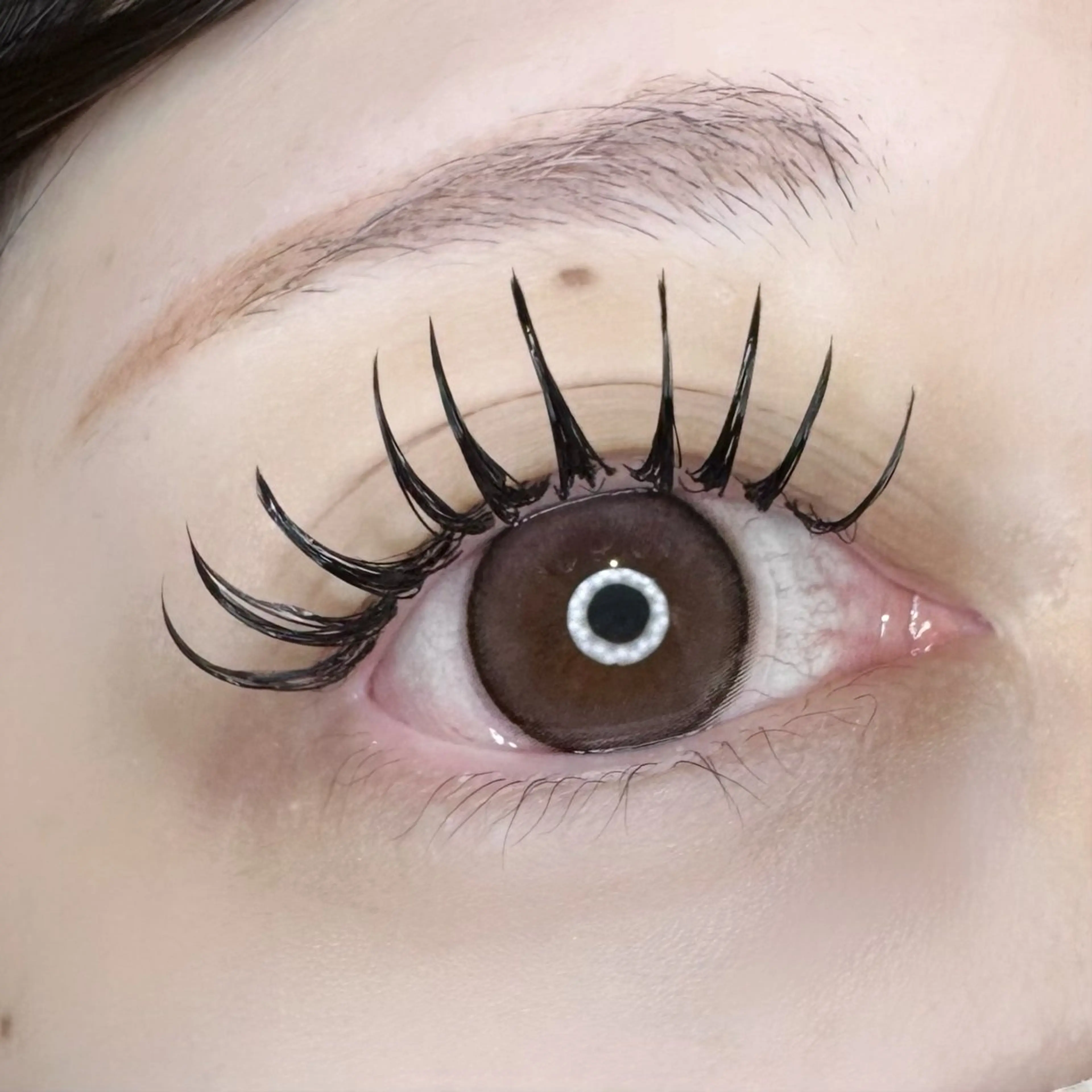 【11月限定】LED ダブルフラット100束の写真