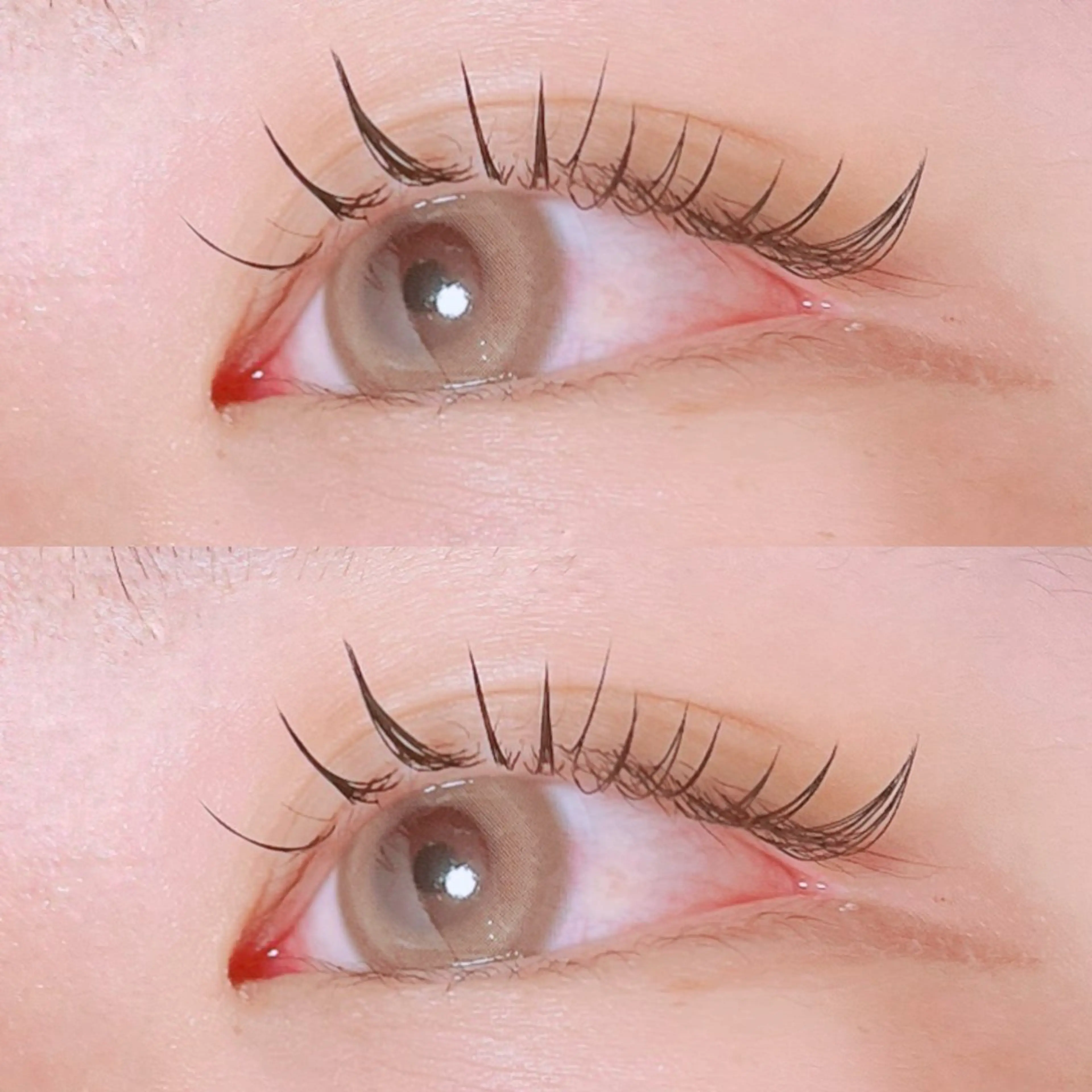 マツエク・マツパ マツエク Ayumi.dre 🌸Y《2階》のマツエク・マツパデザイン