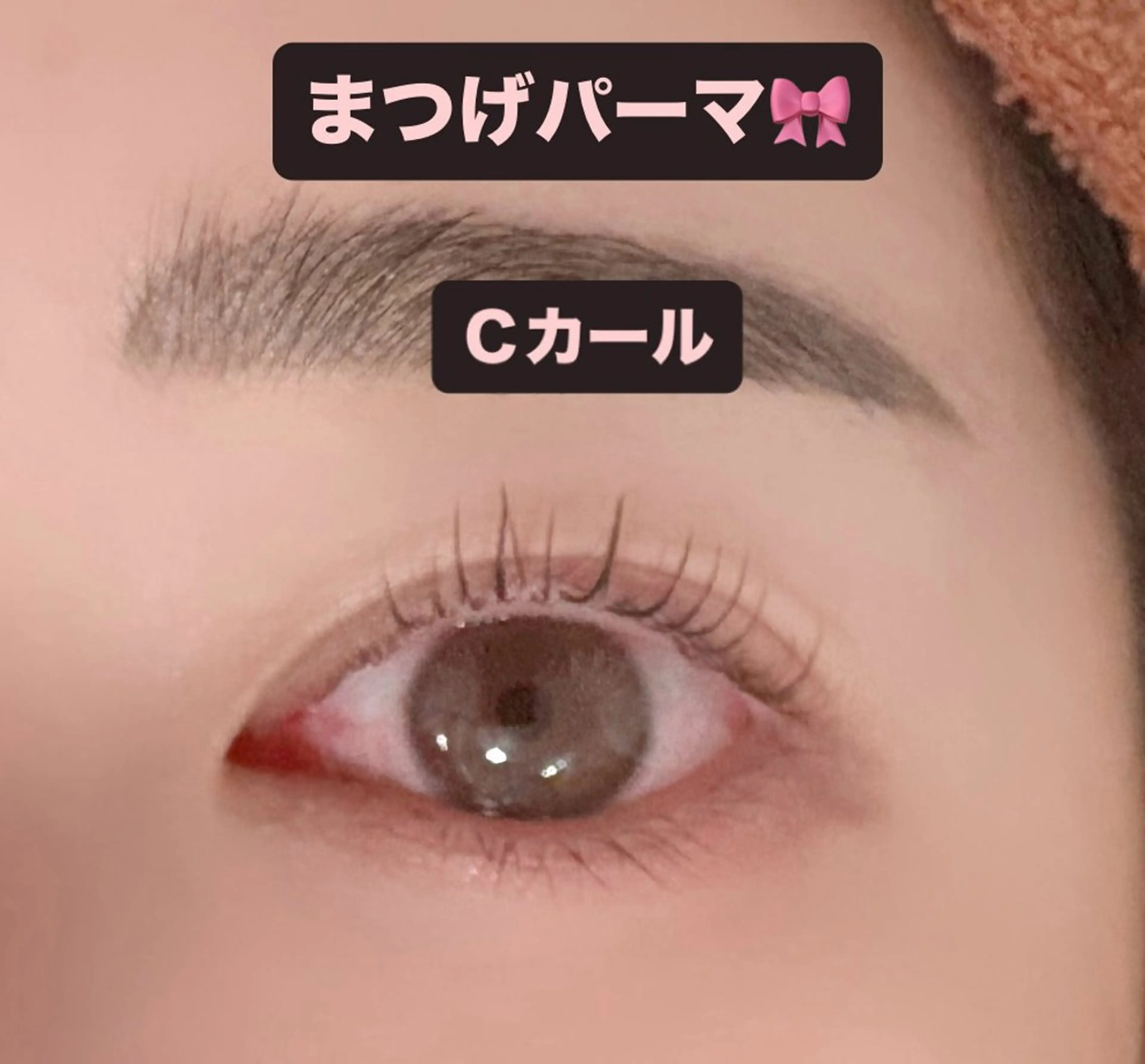 マツエク・マツパ まつげパーマ マツパ 🎀ROAR🎀 SAYAのマツエク・マツパデザイン