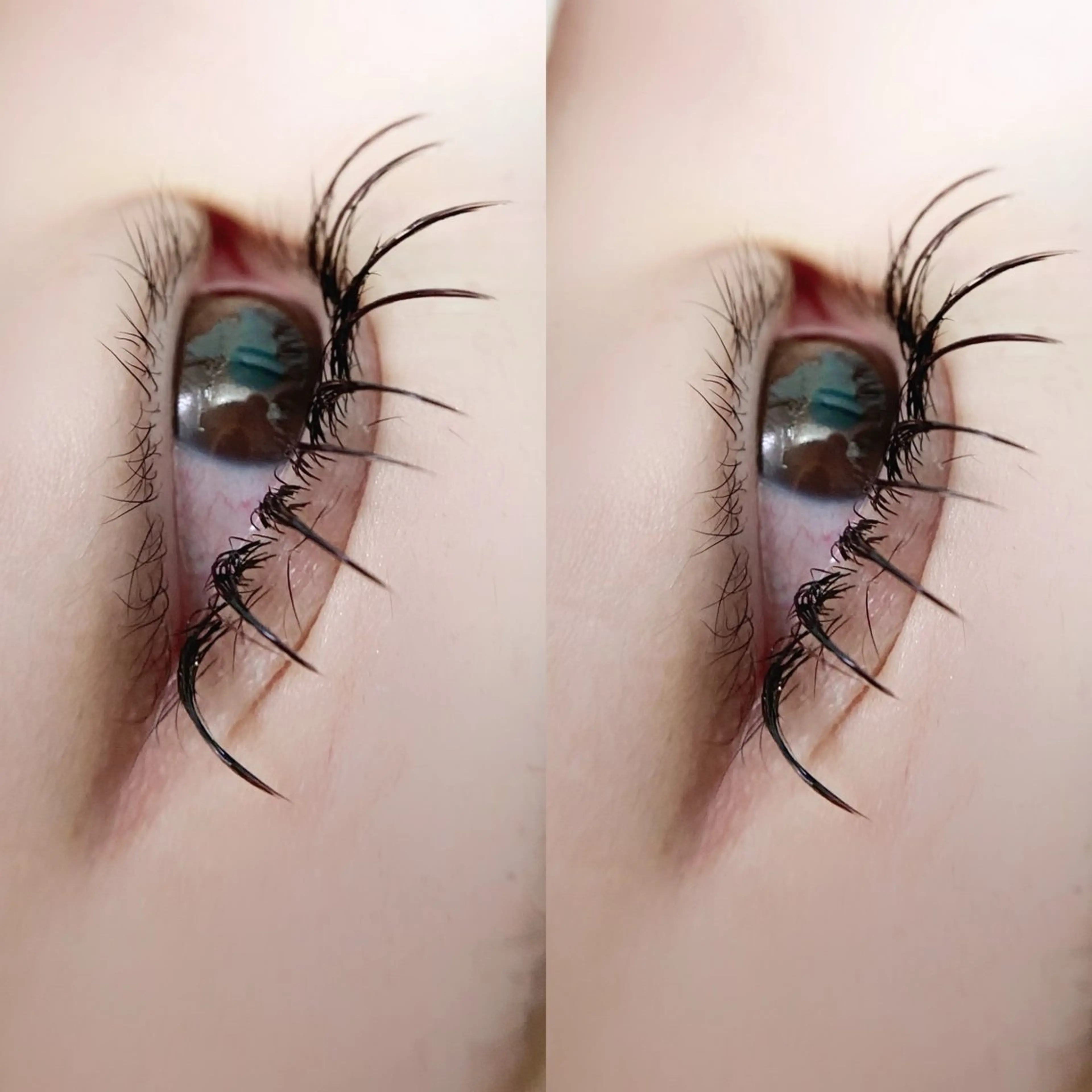 大人気LEDエクステ　フラットマットラッシュ  100本の写真