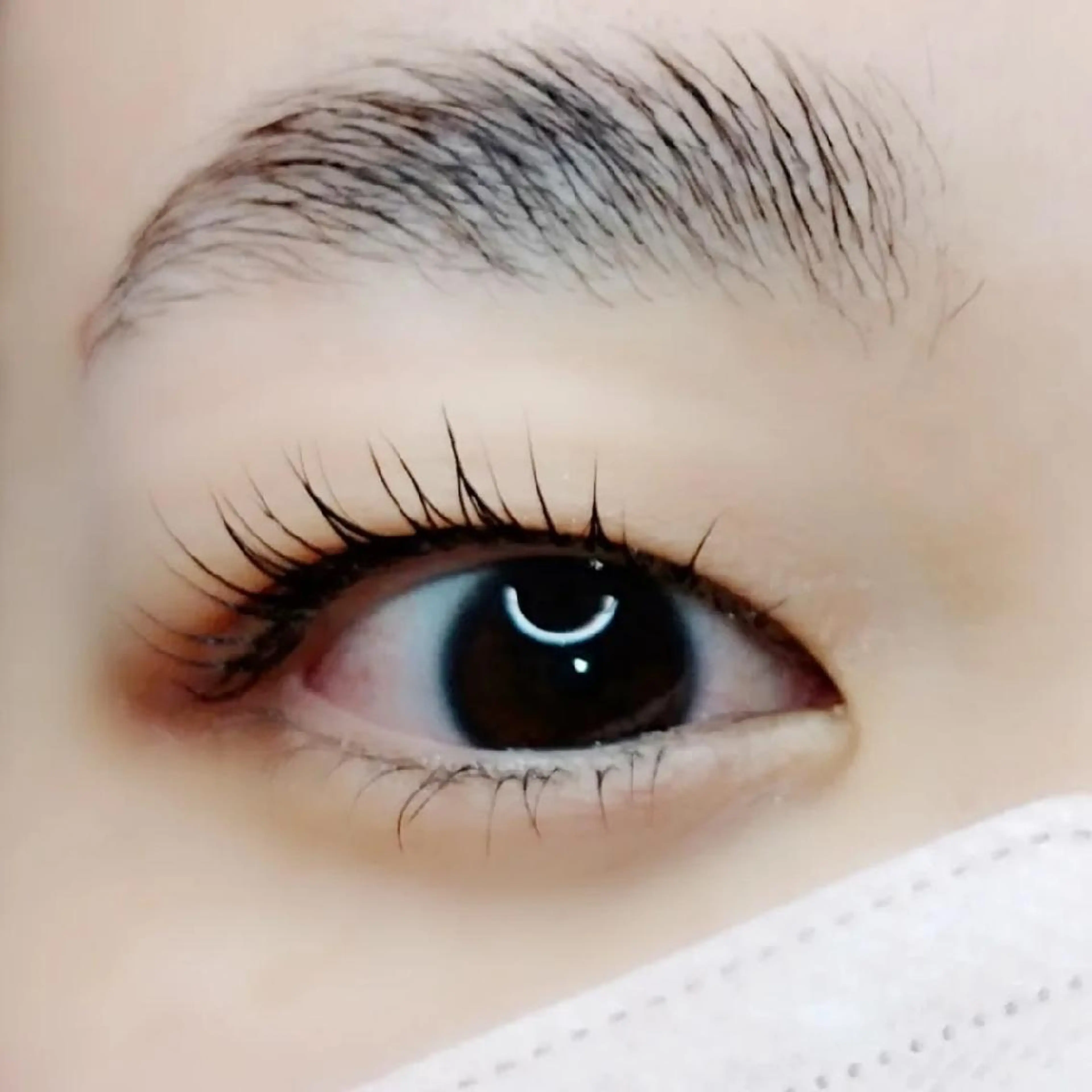 アイブロウ maison calmeのマツエク・マツパデザイン